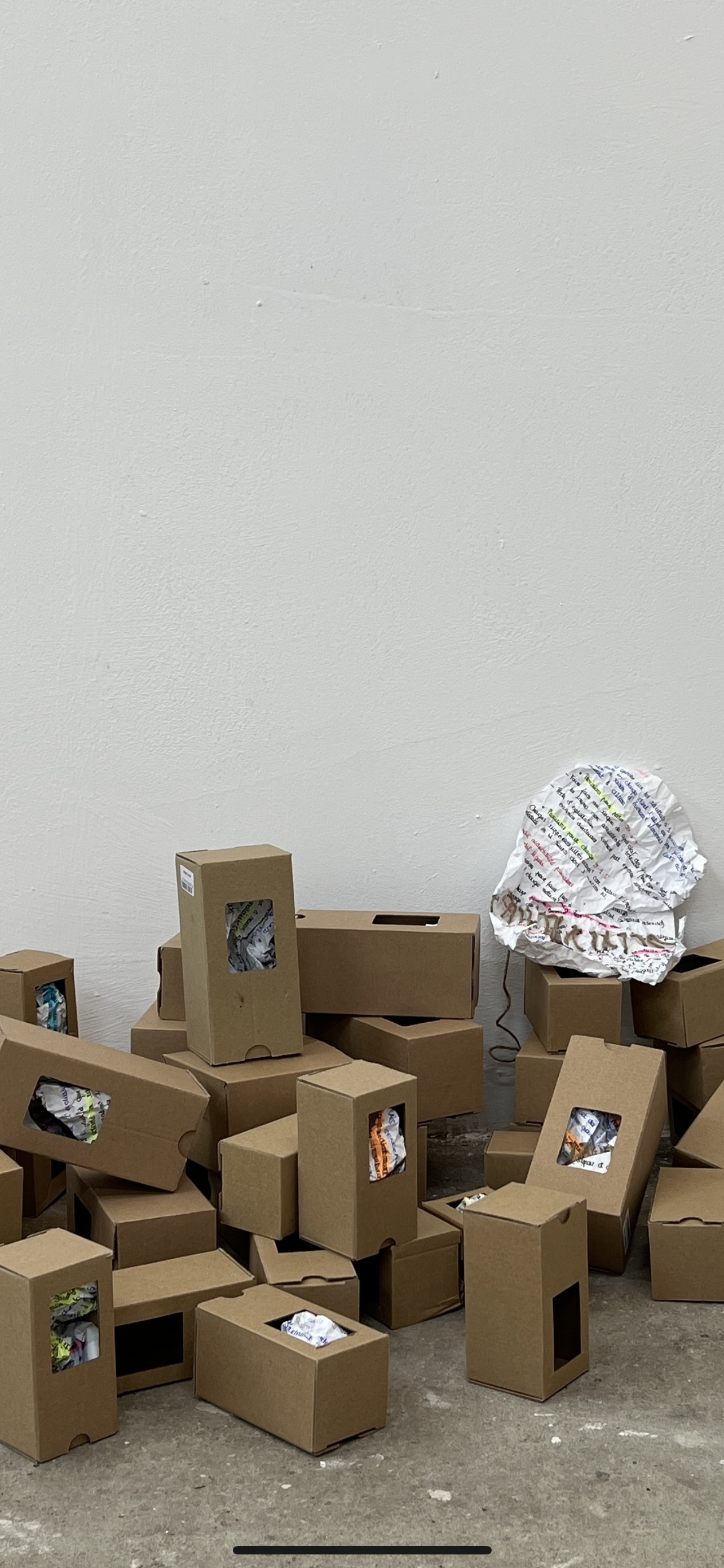 ^ Title: 365 days and 6 years in the making - 2022 - Details: cardboards, paper, ink and ropes