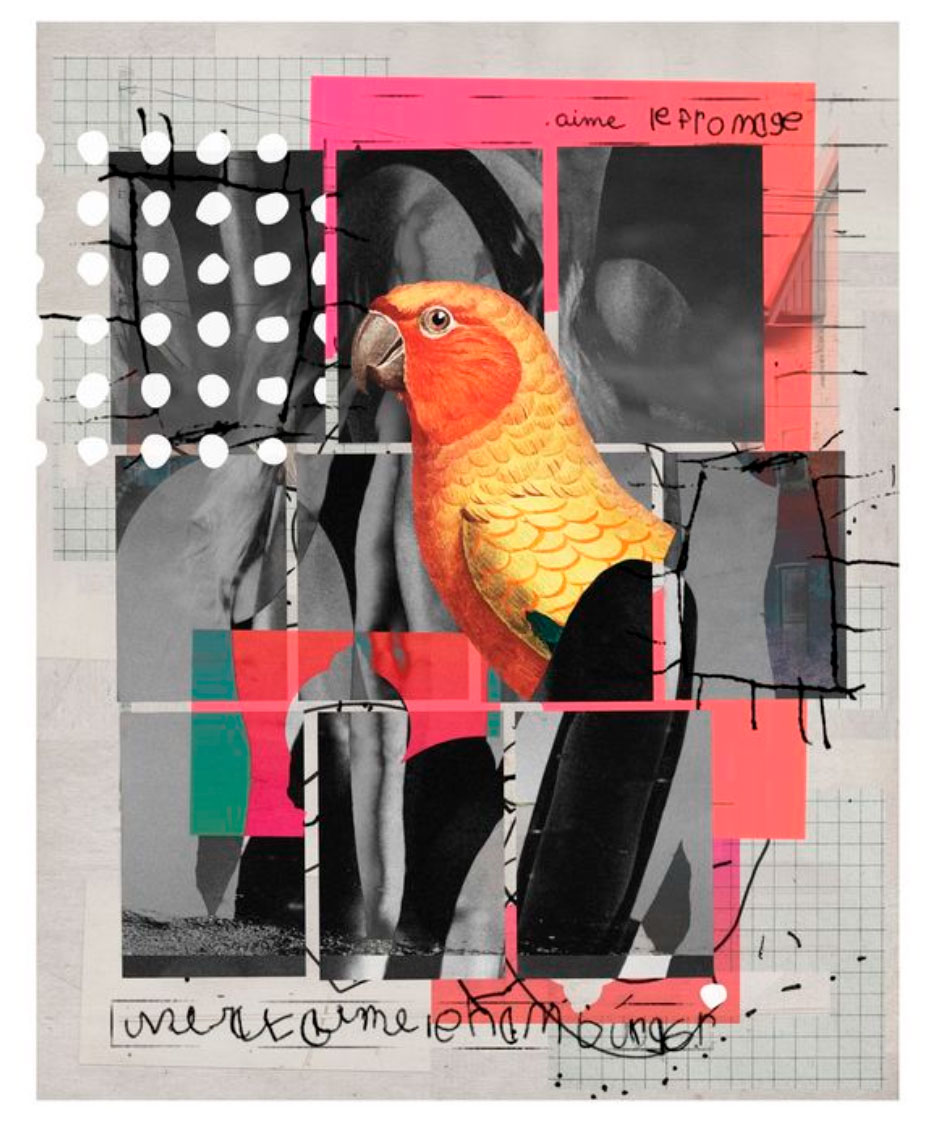 peurduloup.collages