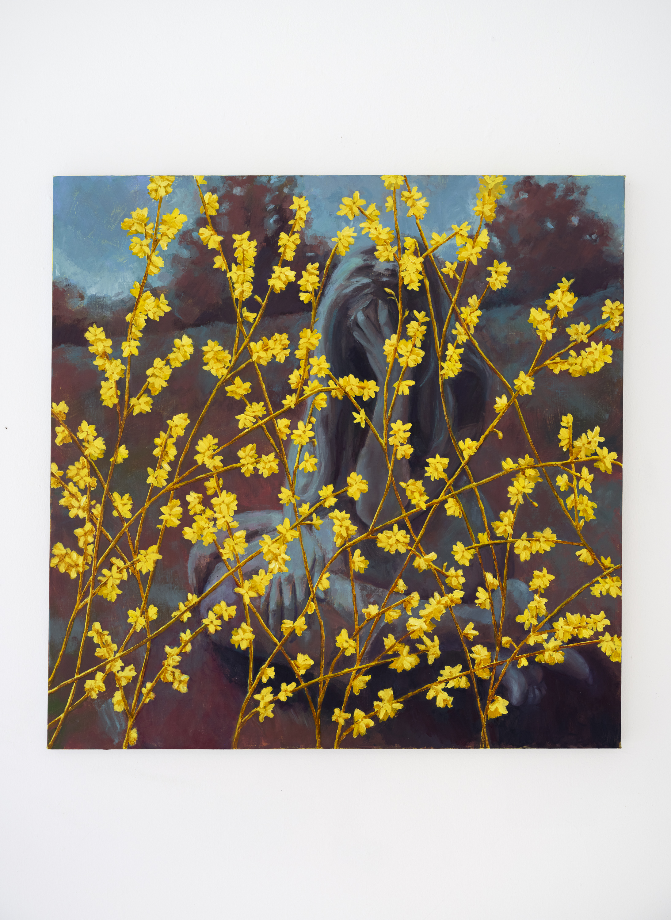 "More yellow (forsythia)", 38 x 38 inches, oil on linen, 2025. $2,800