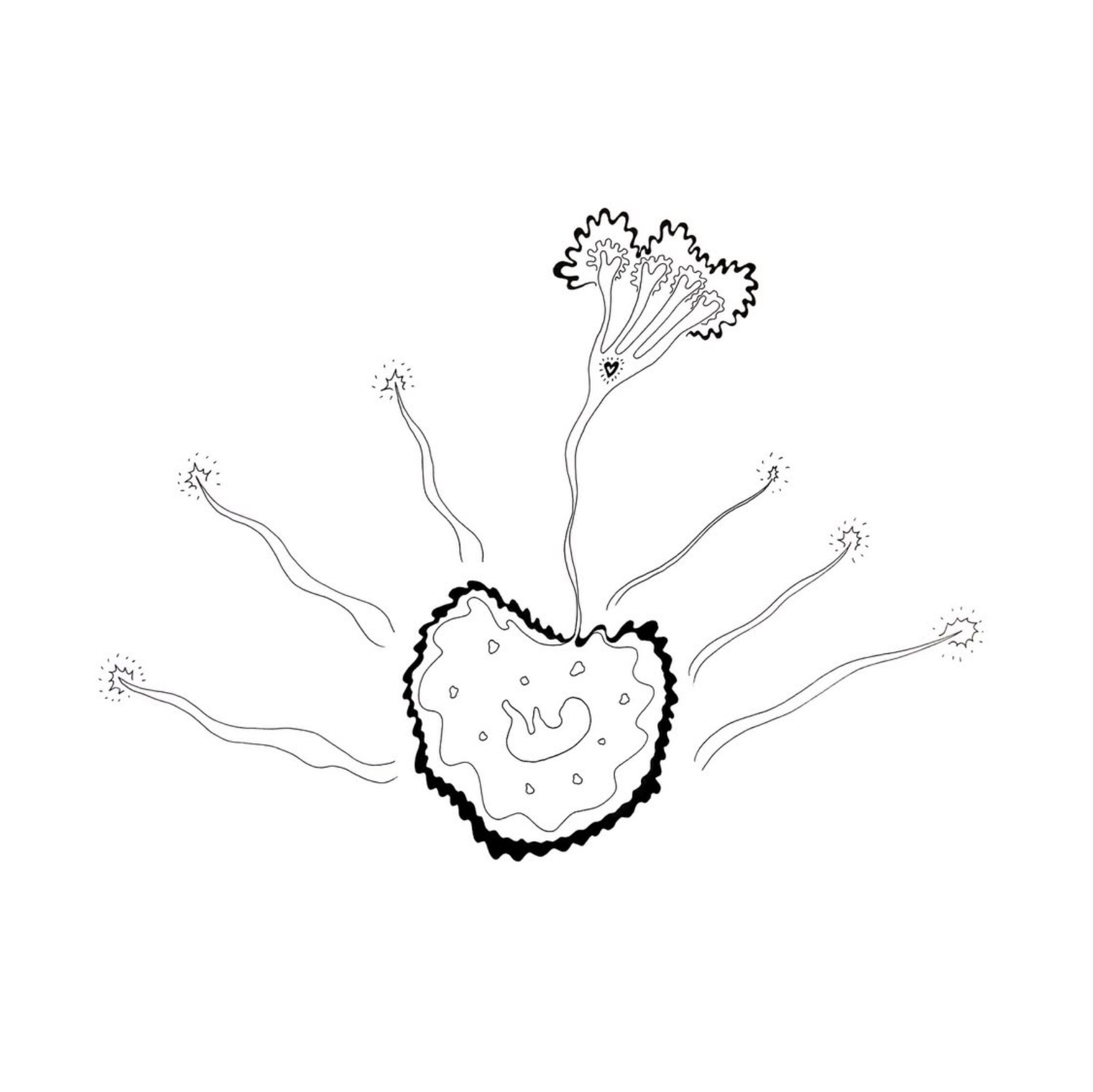 Love Blossoming 🧚🏻 ✨