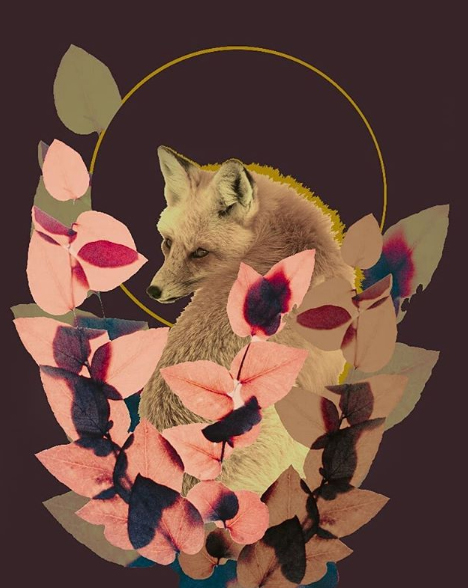 Raquel Azqueta Rodriguez