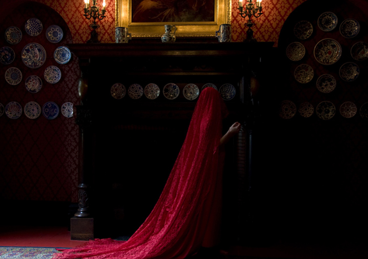 Garment of Desire 1, 85 × 60cm. 2010