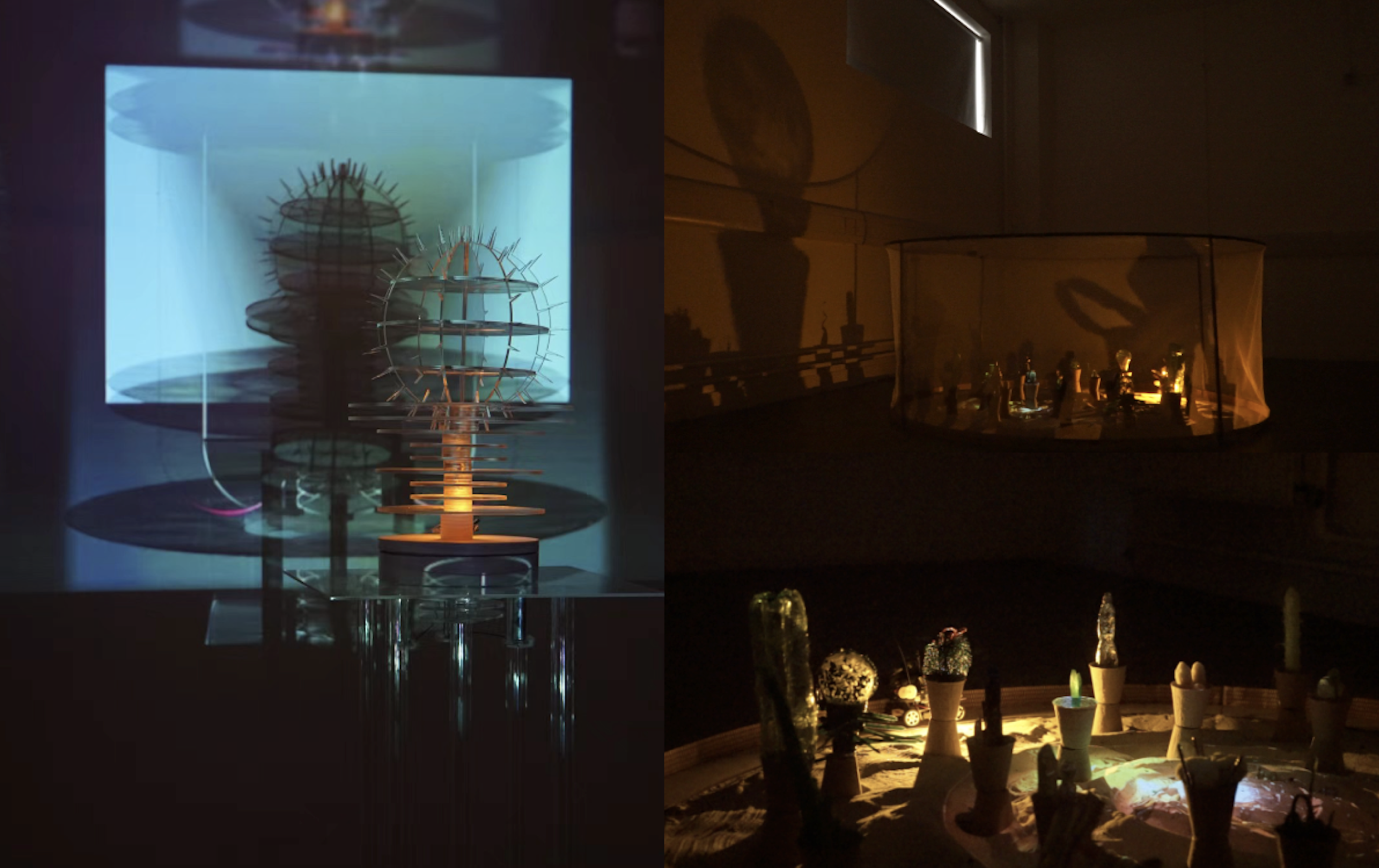 2022 Physical Cinematic Experience