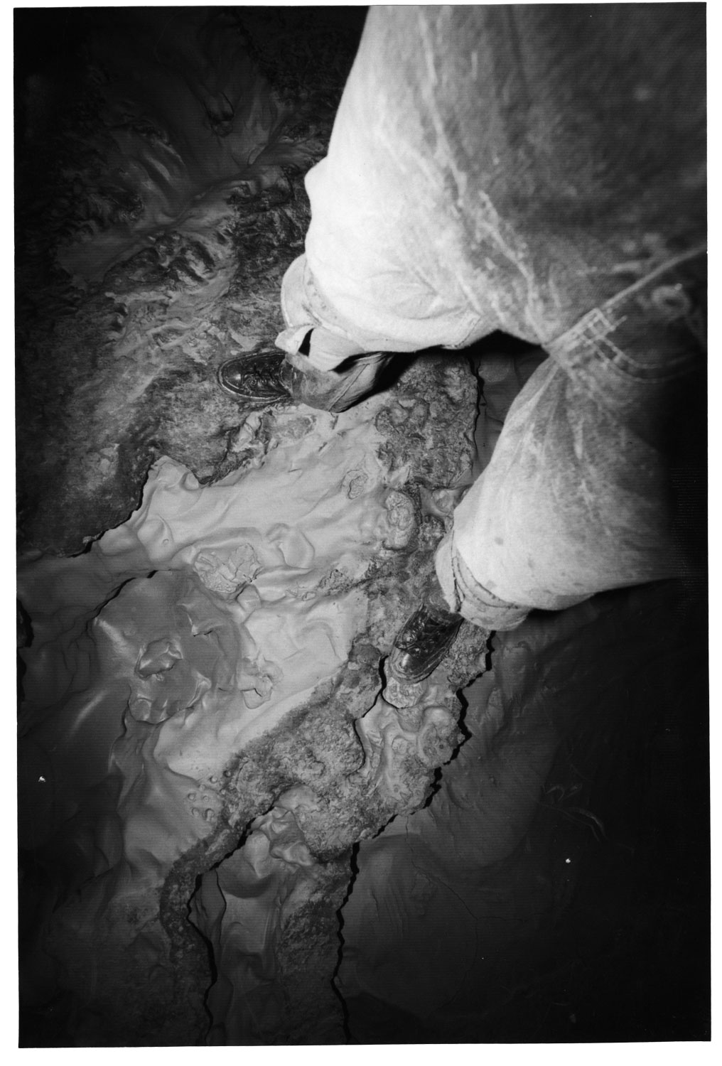 dementia praecox, 5x9" print
