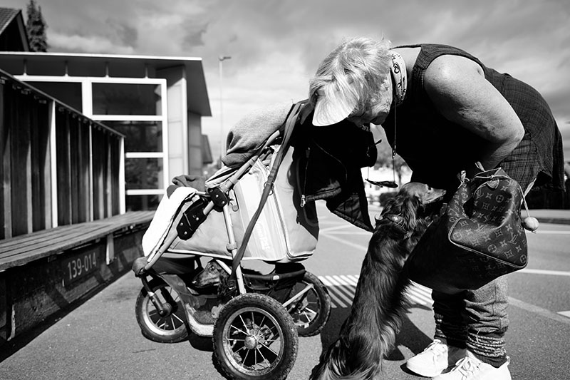 Travelling in Style: Die Dackel Lara und Maja geniessen jede Fahrt.