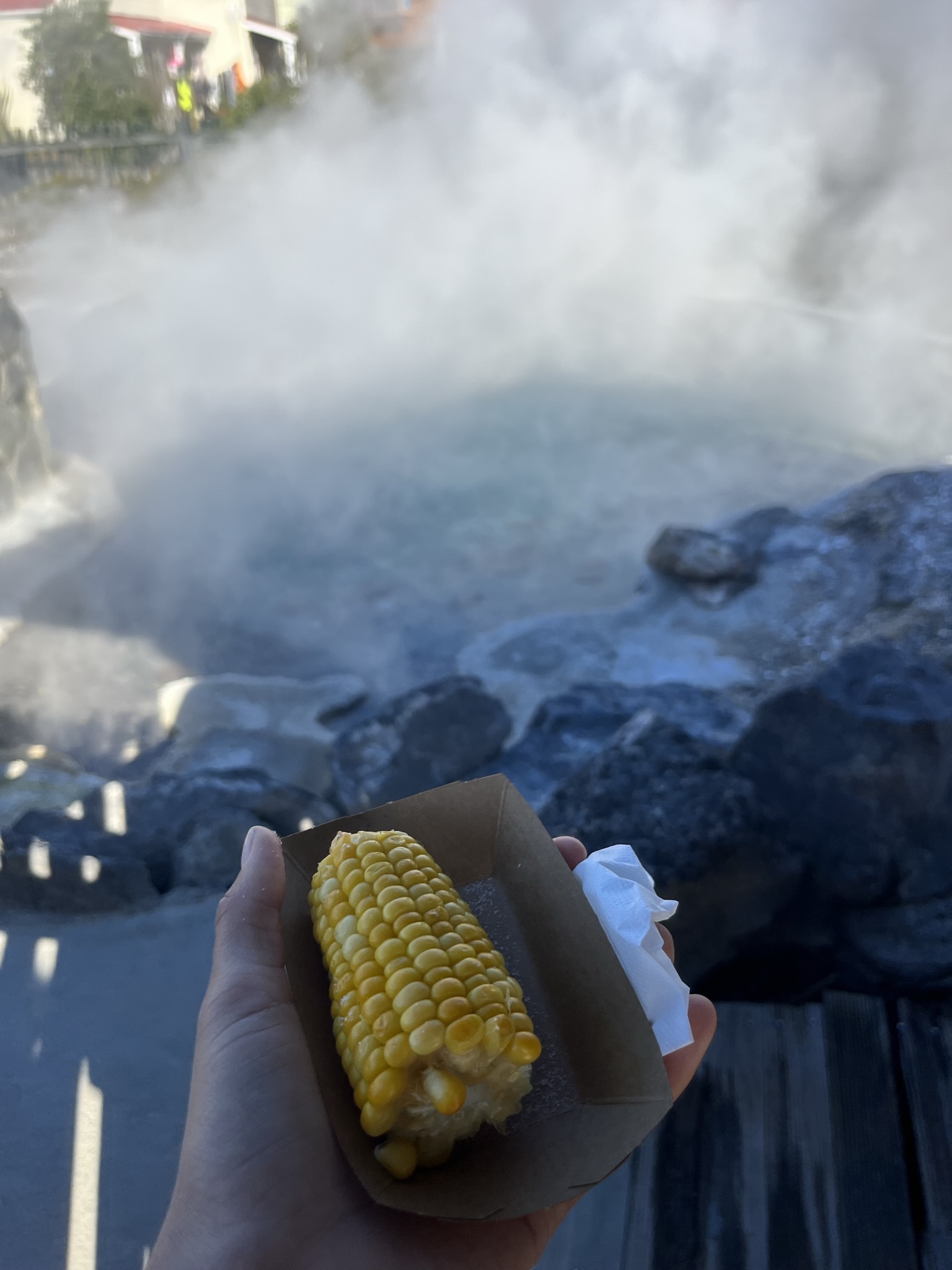 geothermal corn