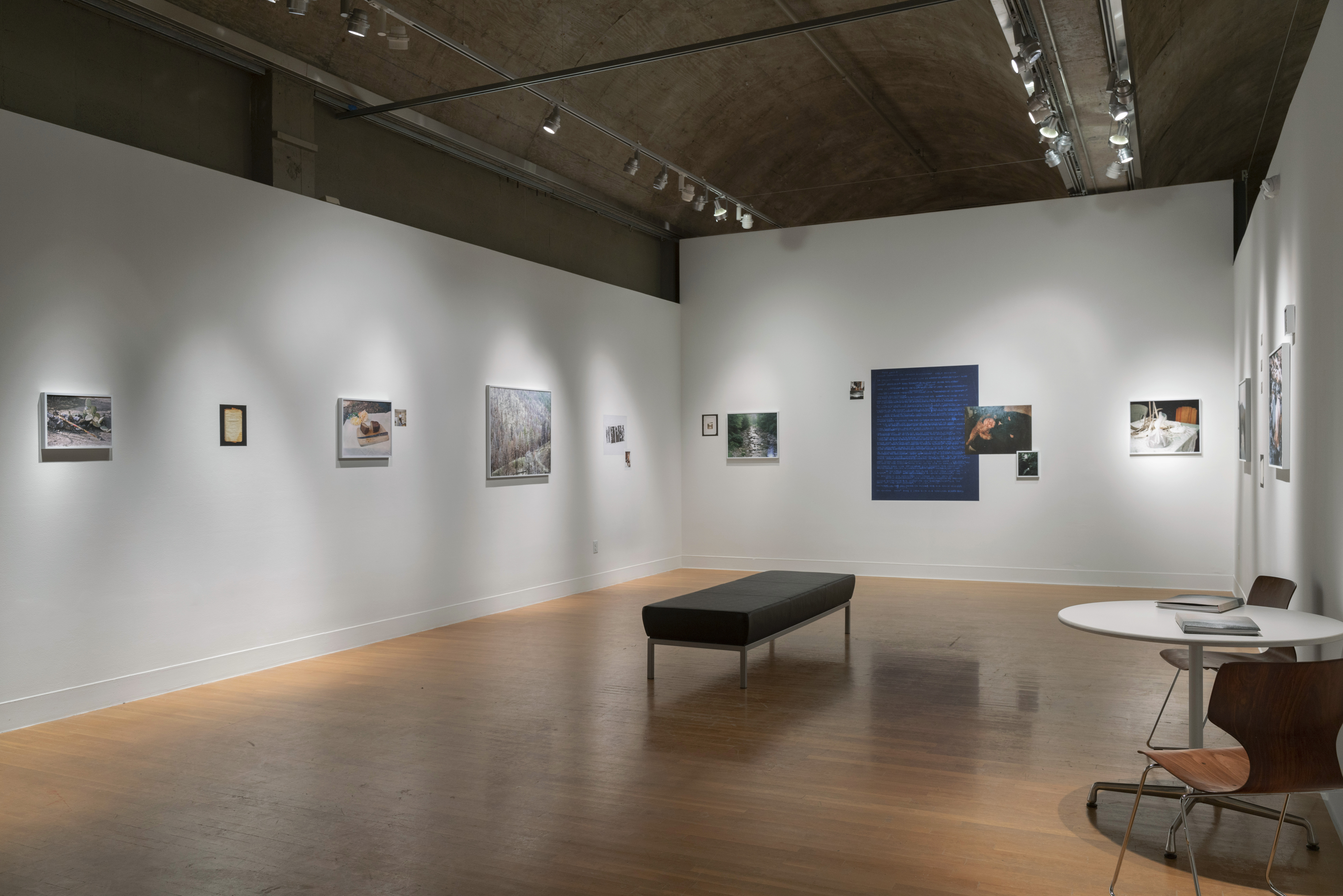 Images from To light and then return, Painted Hooves, Visual Arts Center, Austin, Texas, May 2022