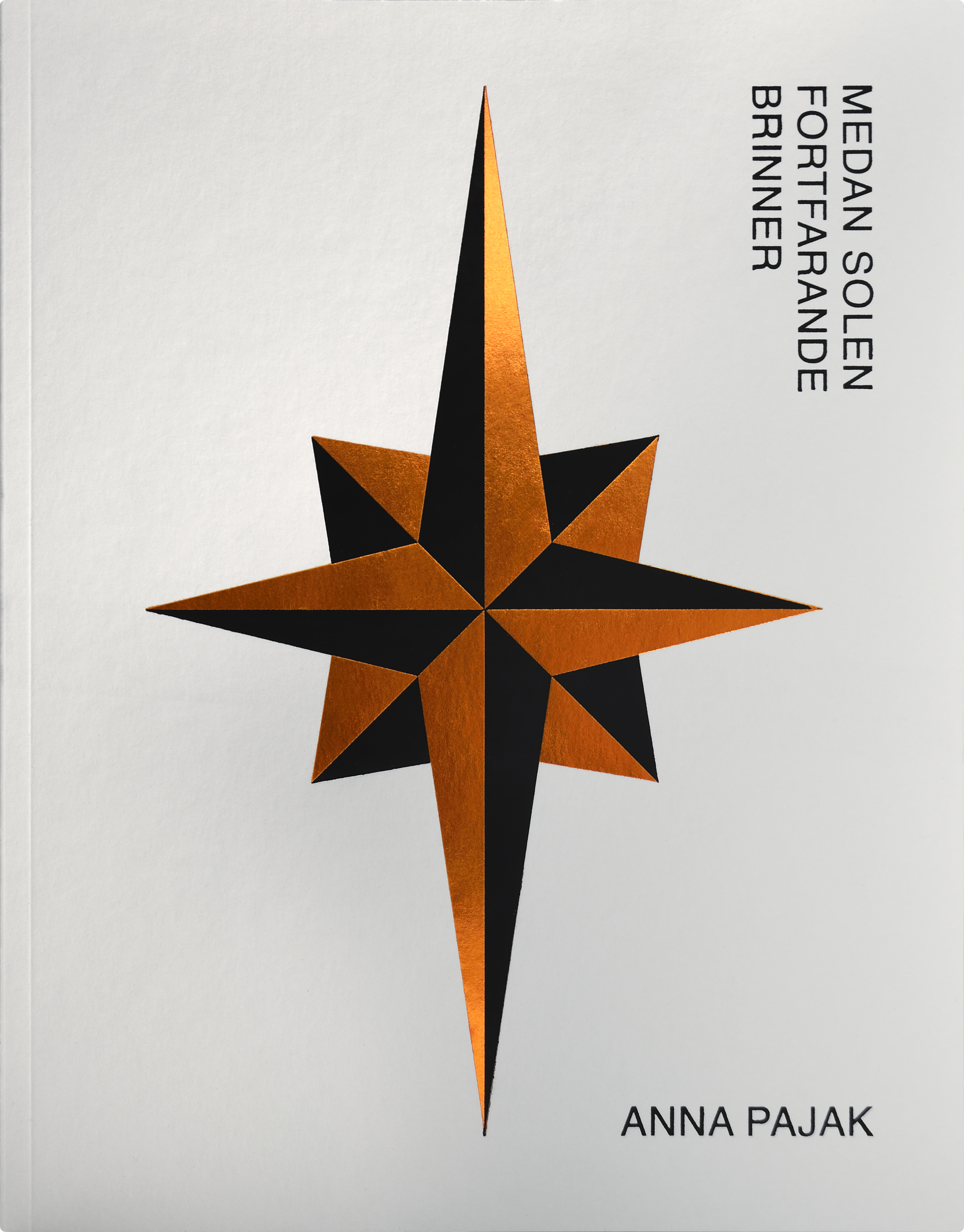 Anna Pajak, Medan solen fortfarande brinner, Wetterling Gallery, Stockholm 2024