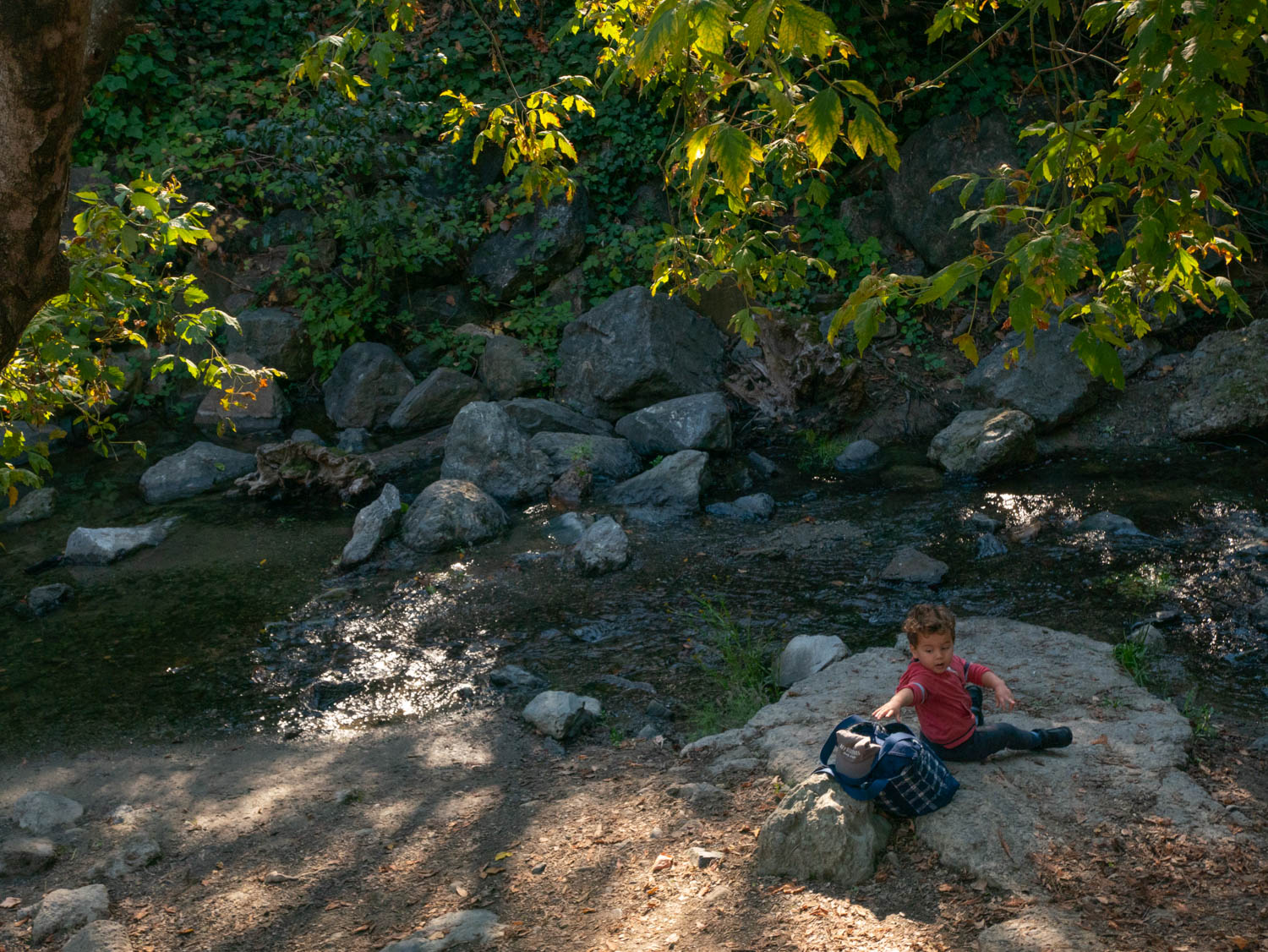 Alvarado Park, Richmond