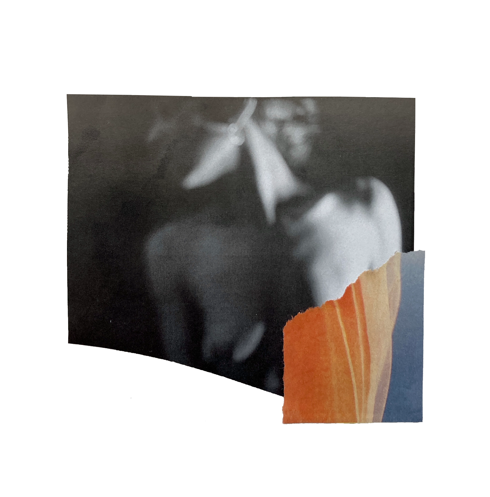 Barehandcut collage, 2021sold