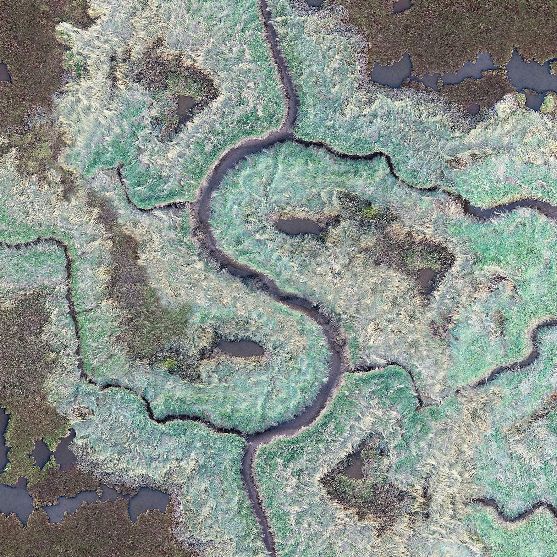 S-bend, digital print, 112 x 80 cm [detail]