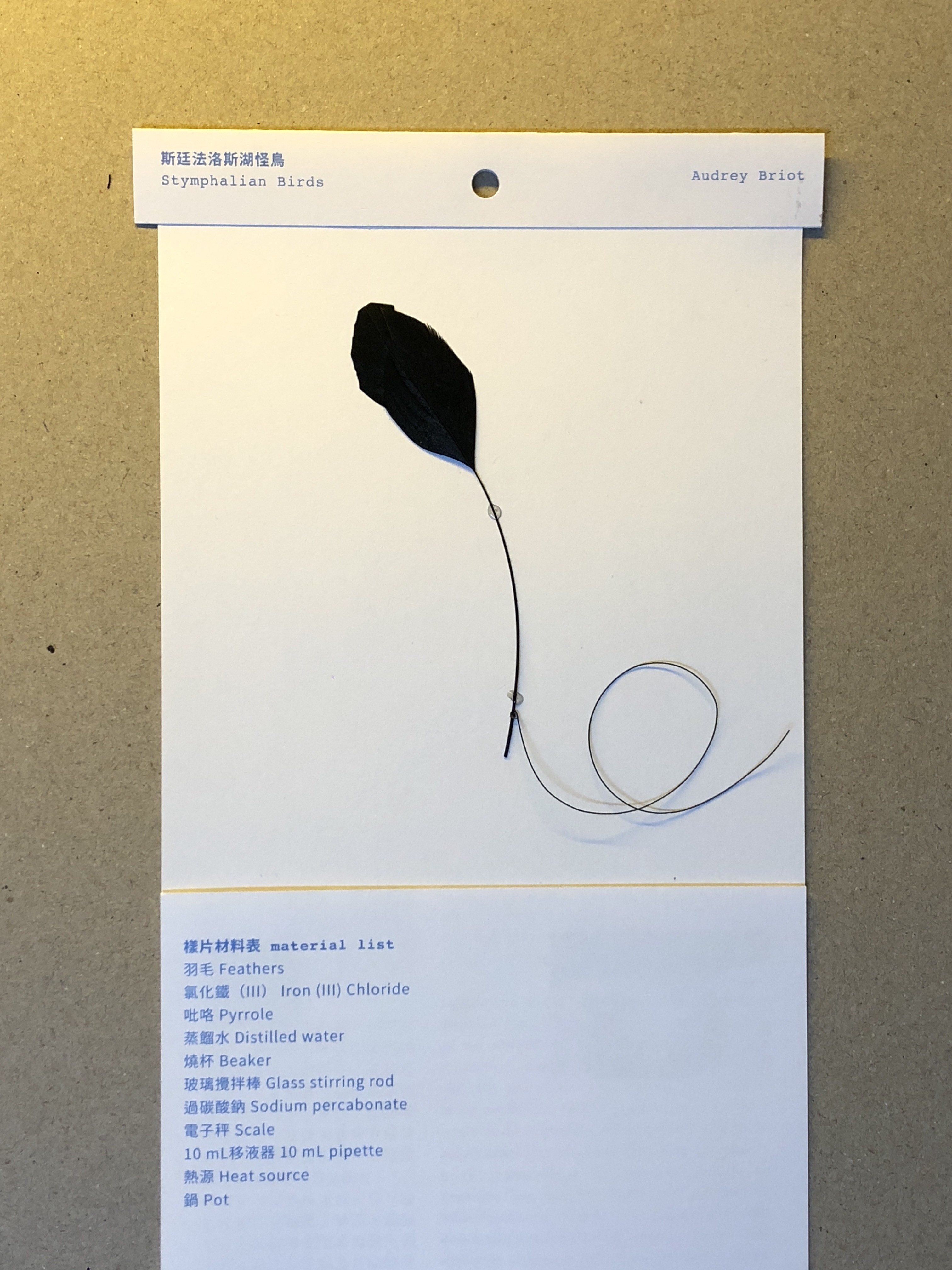 Audrey Briot swatch 00