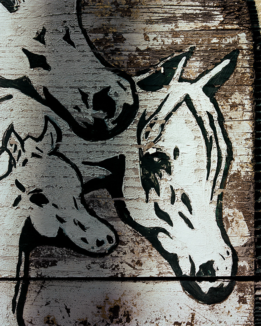 Down Appaloosa Trl, 2020