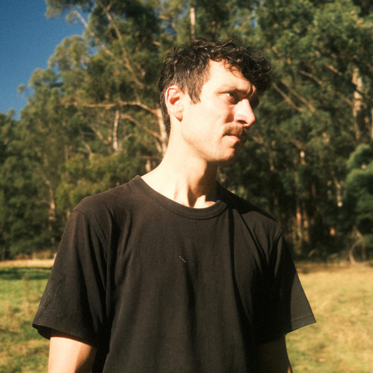 alex albrecht/ia/mix/#383