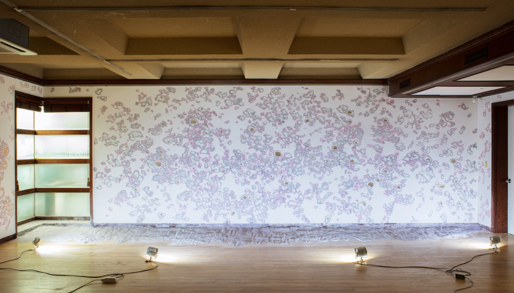 Dohee Kim 김도희