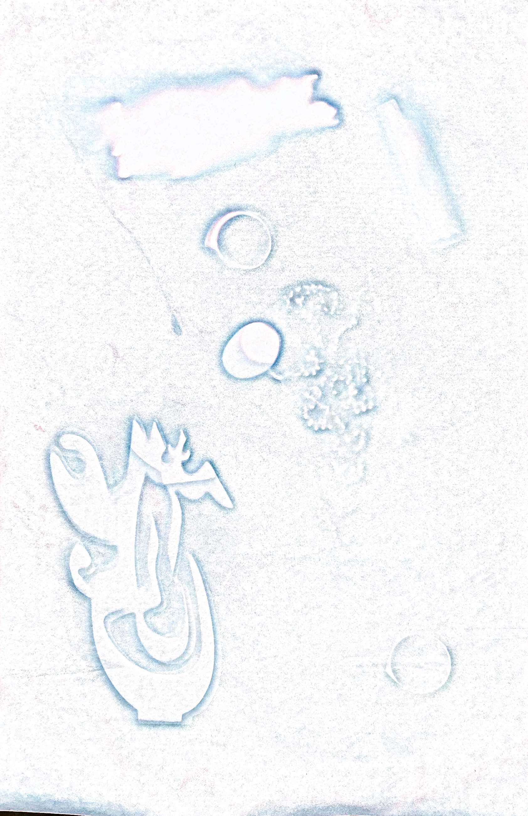 Cyanotype scanned