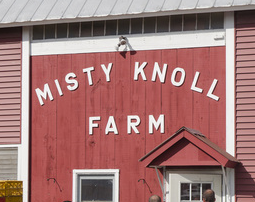 Misty Knoll Farm