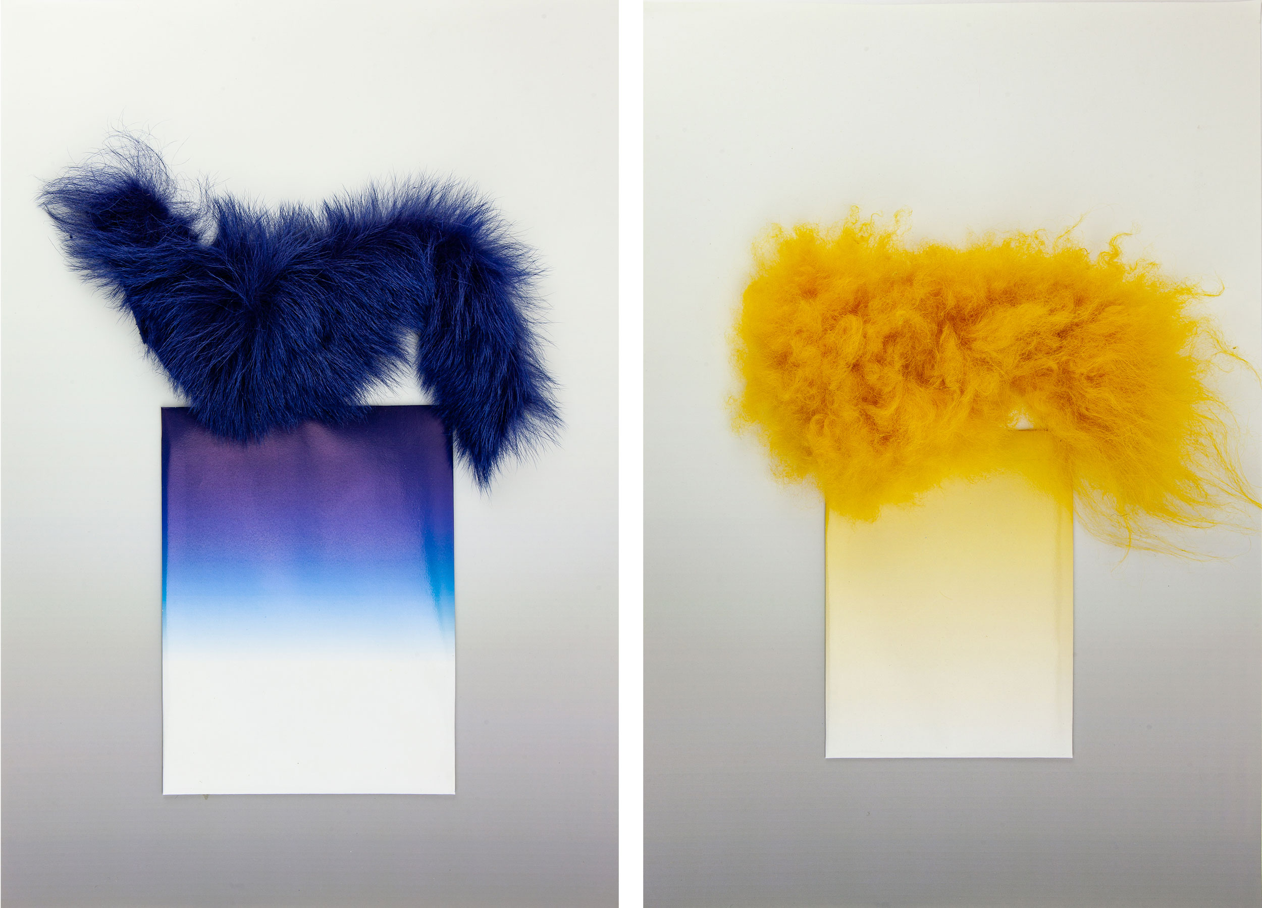 Holding Form Blue and Yellow 2013 Collage printed paper and fur on cardboard 47 × 32cm