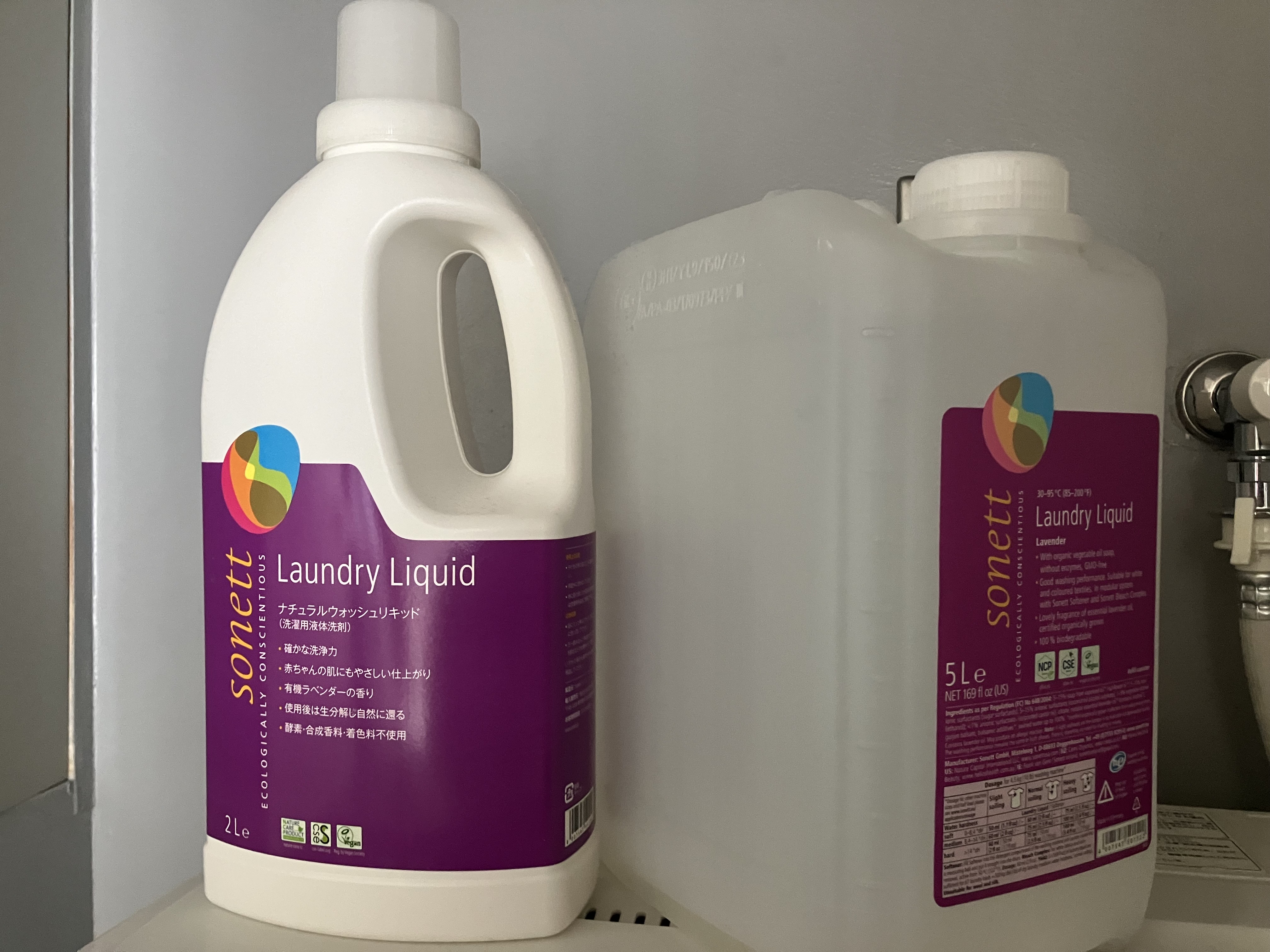 senzai snap - FEBRUARY 20, 2025