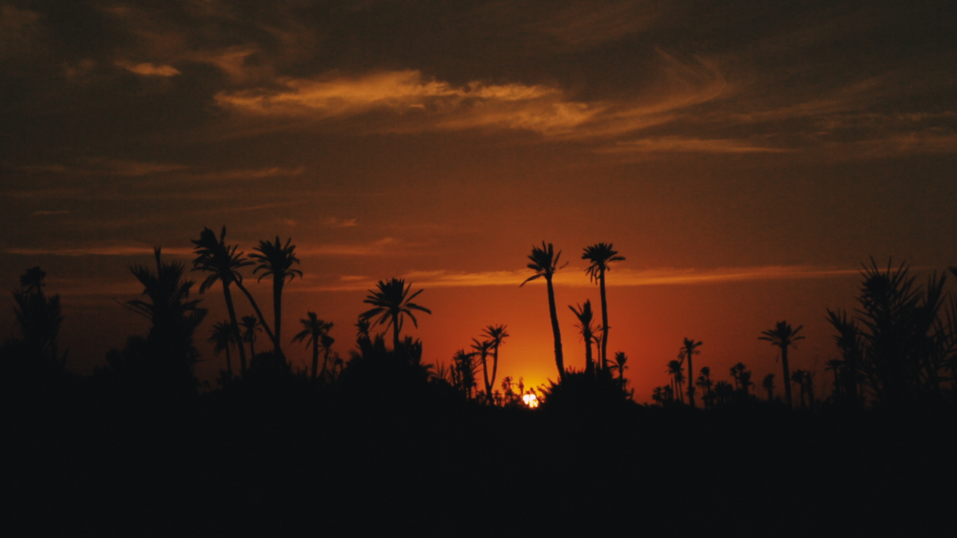 Sur les traces de Borromée - Raphaël Tilliette