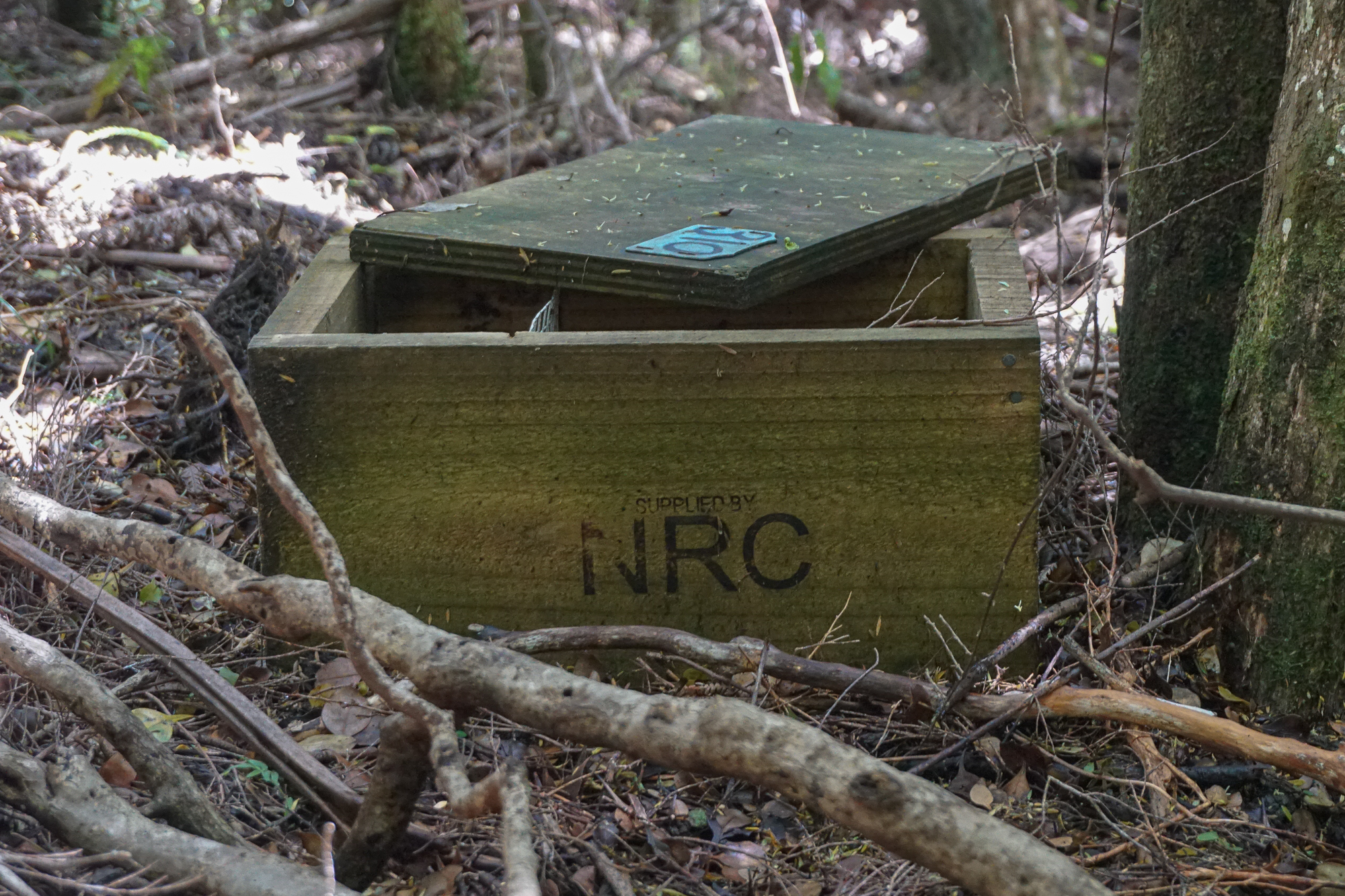 Northland Regional Council open pest trap, Warawara ngahere.Photography by M. H.