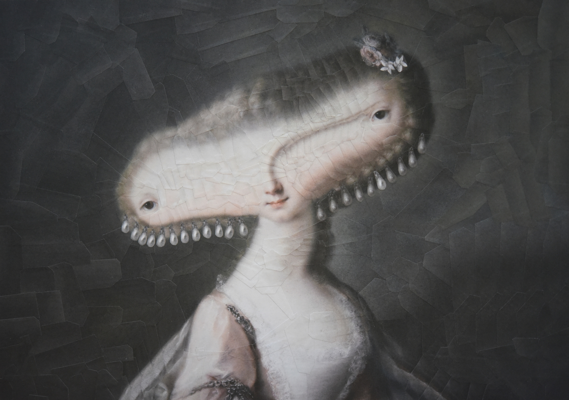 Hammerhead after Rosalba Carriera, 2019, 11.6 x 8.2 inches