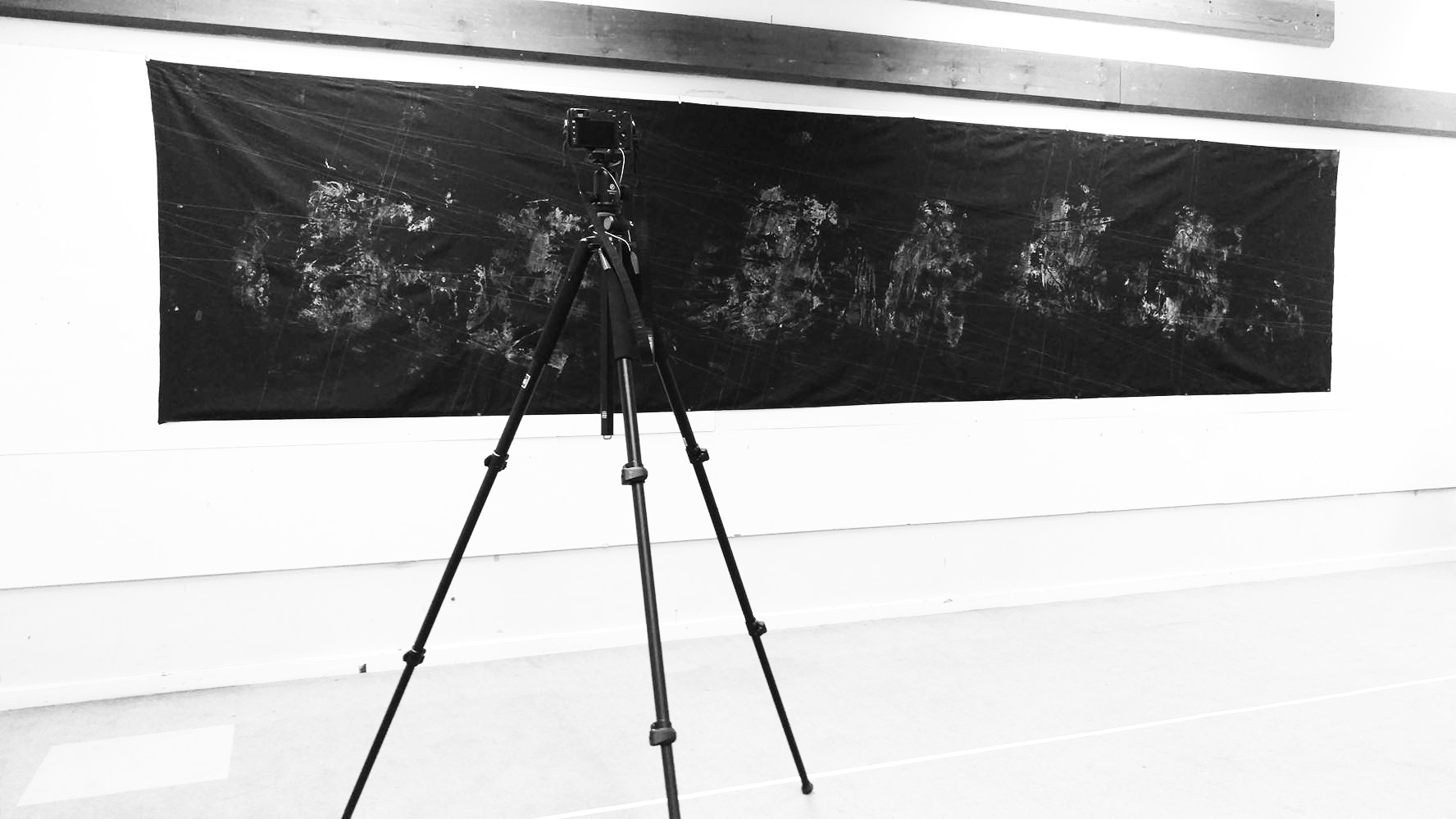 Contact Projective Survey