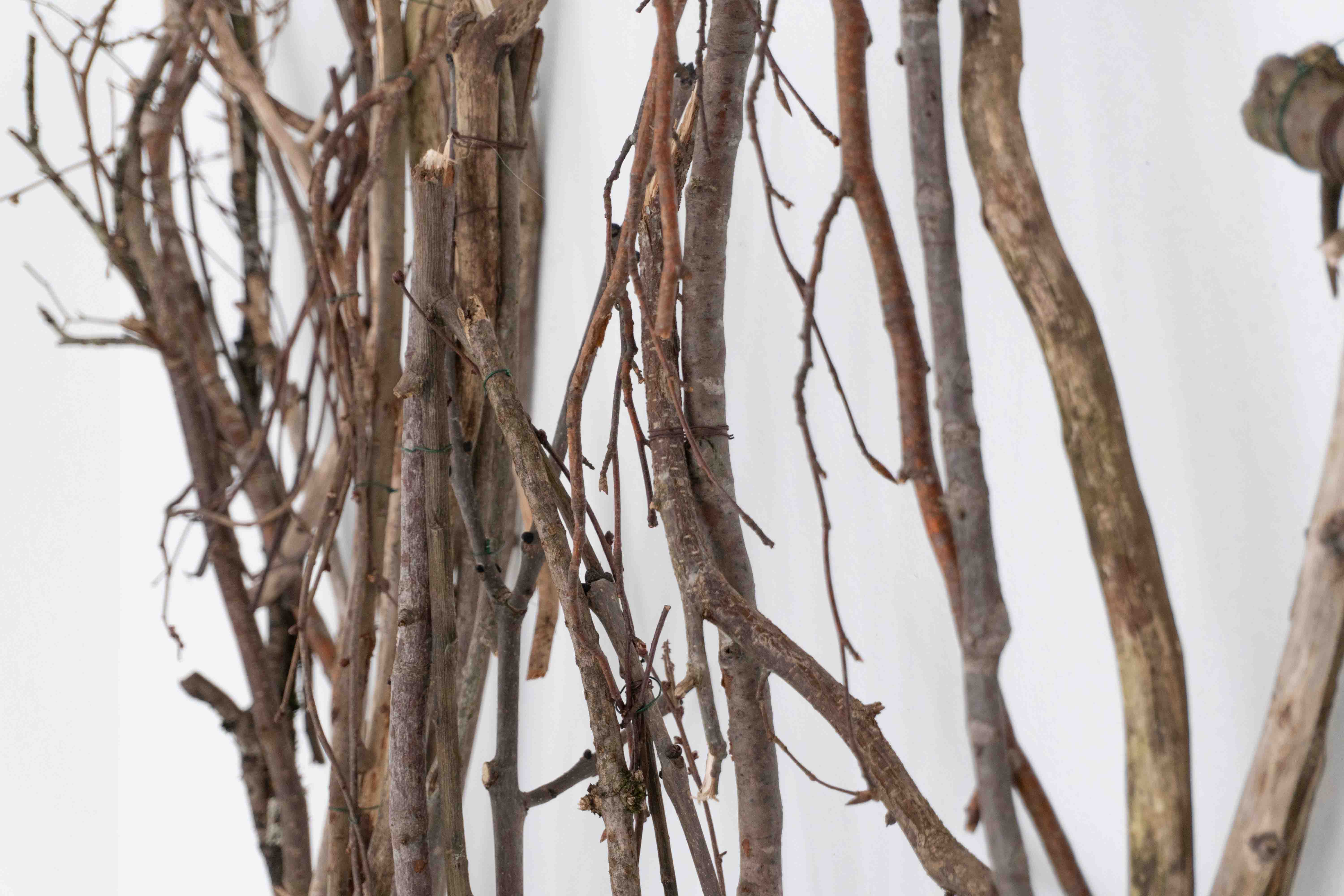 As part of the exhibition 'Traces' in Kulturraum Waldenburg, 2025