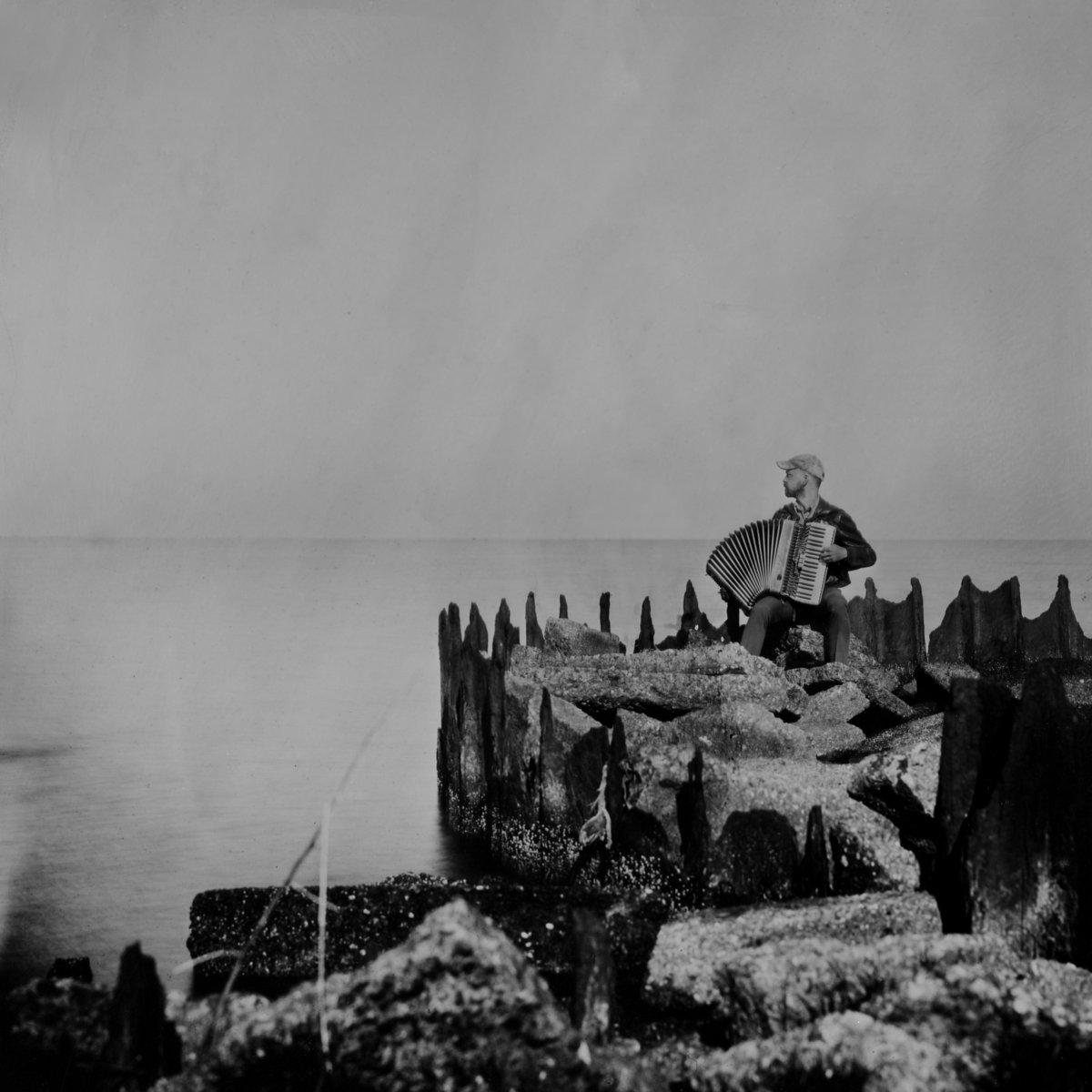 Walt McClements  A Hole In The Fence 