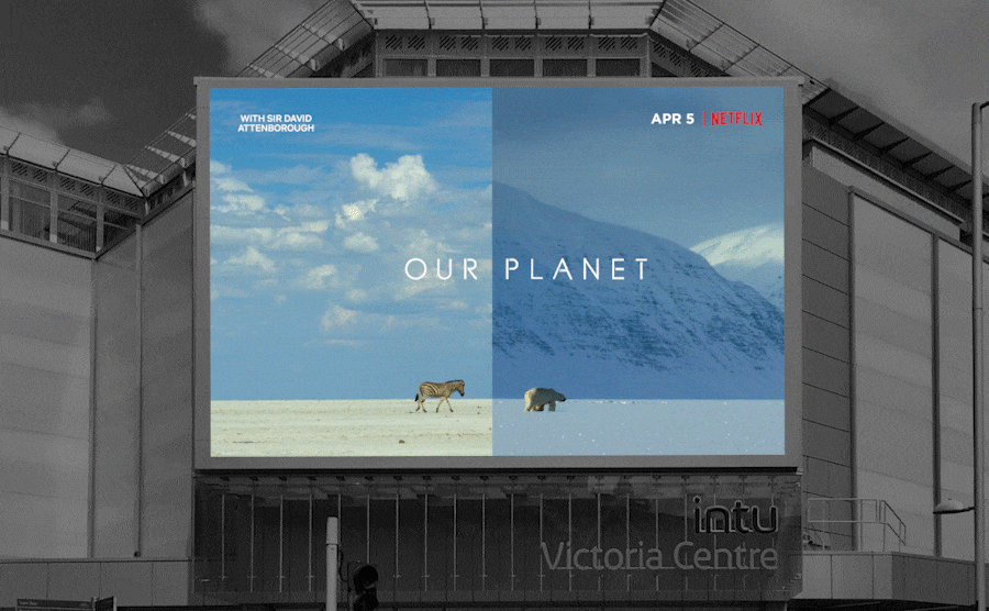 Our Planet | Netflix - McPartland Studio
