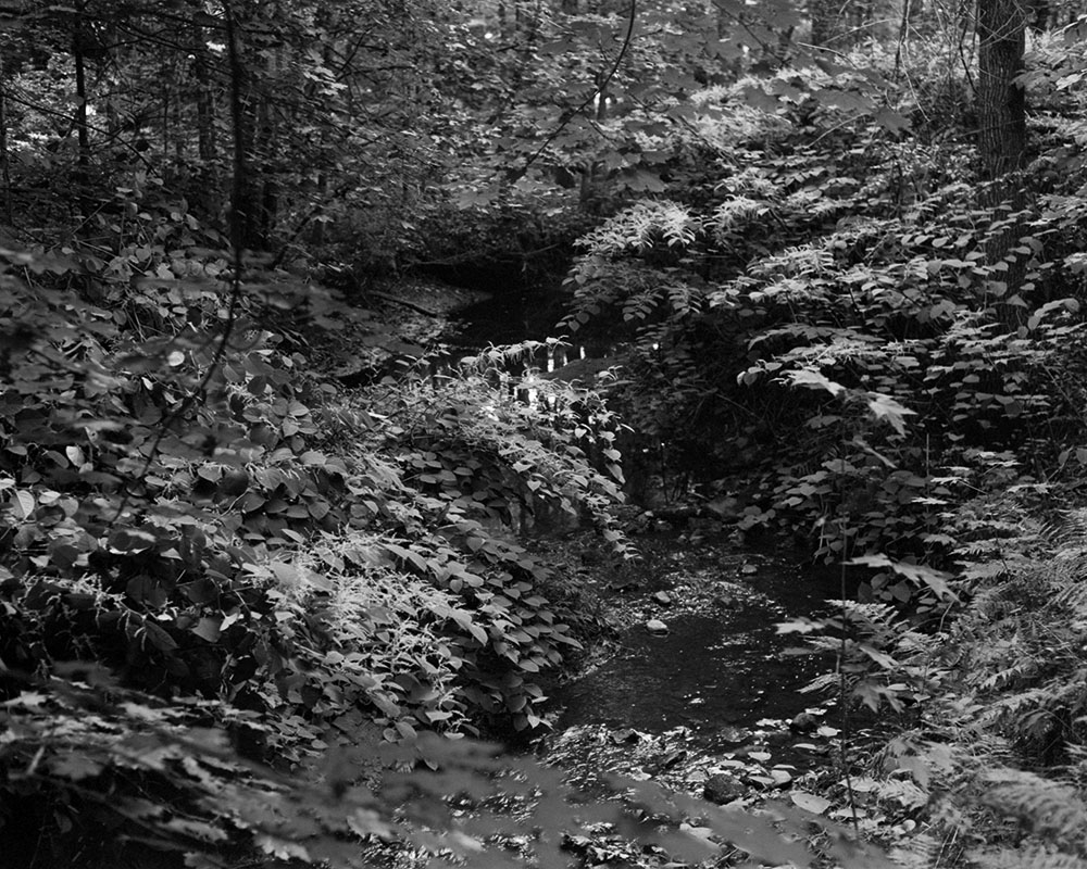 Fishing Rod, Bag of Worms, 2021. Archival Inkjet Print, walnut frame. 16x20&rdquo;