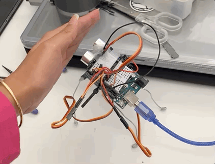Insect Bot Object Detection