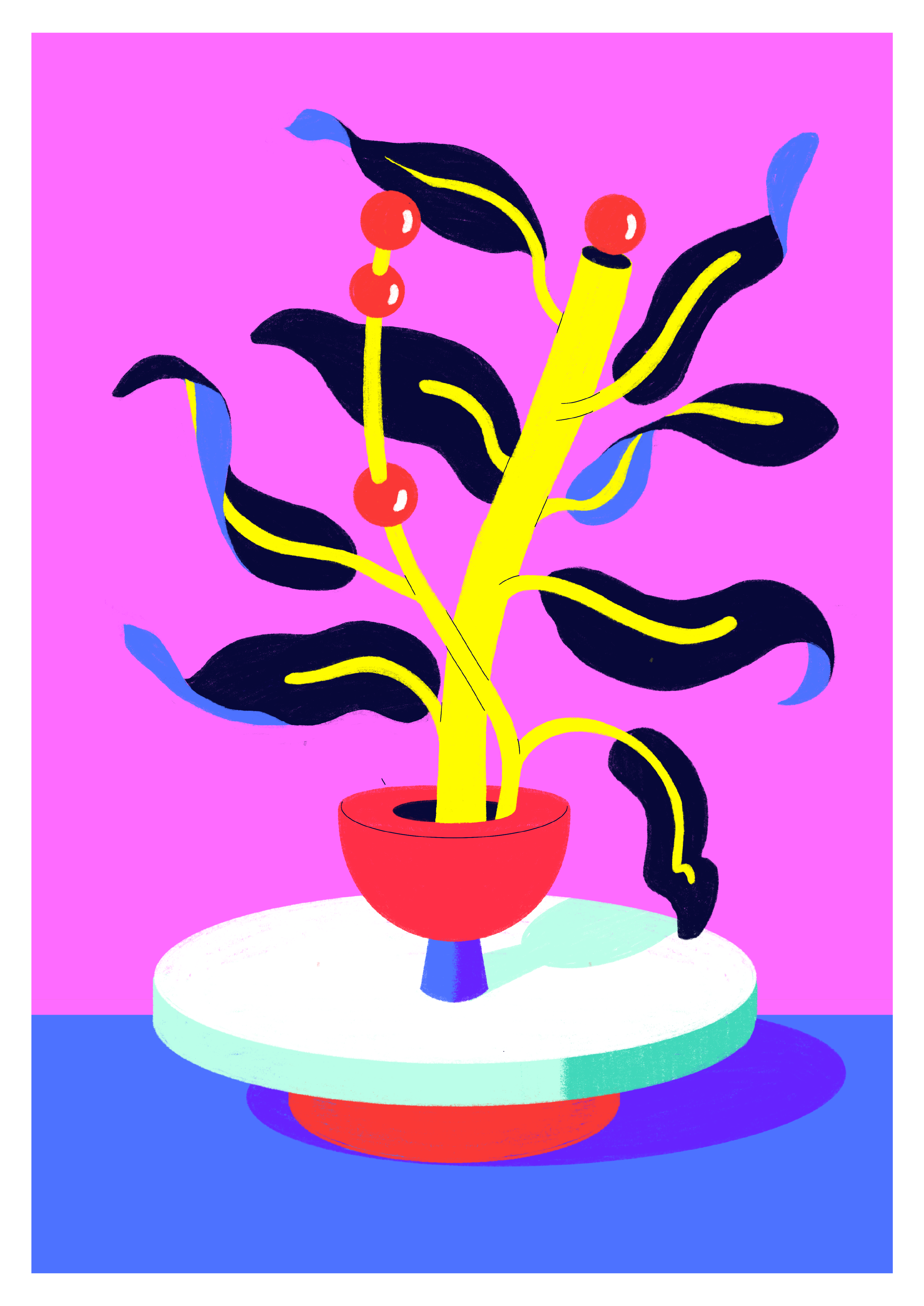 1 | Cherries from Venus