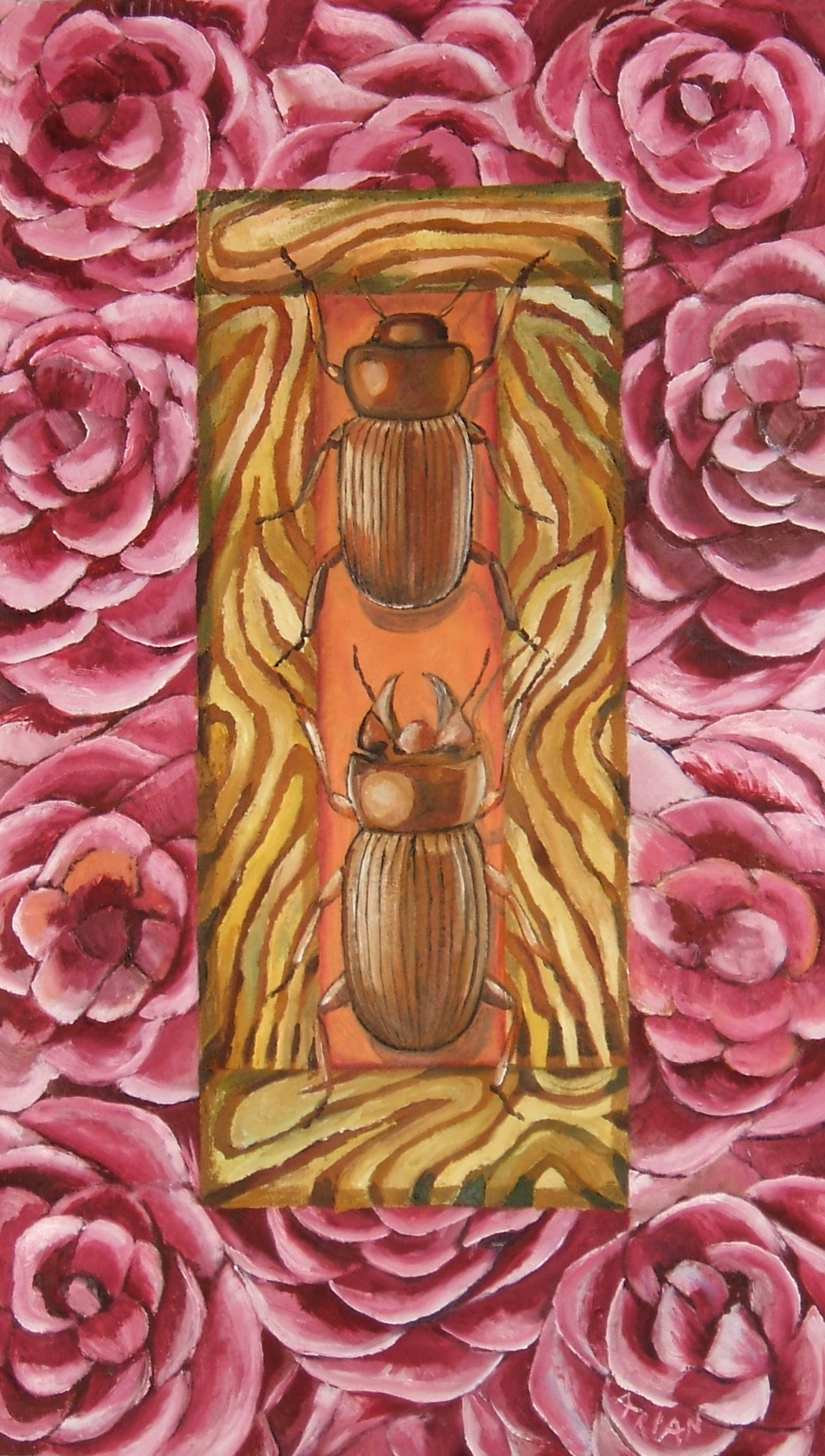 Escarabats Roses