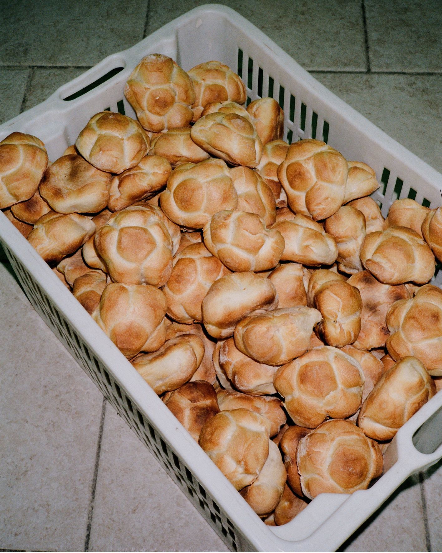 Mio padre_Domingo_Nardulli 