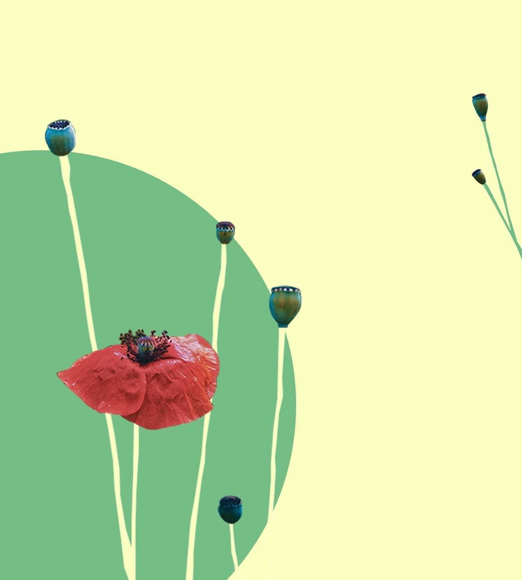 Ömer Raşit Tunçay