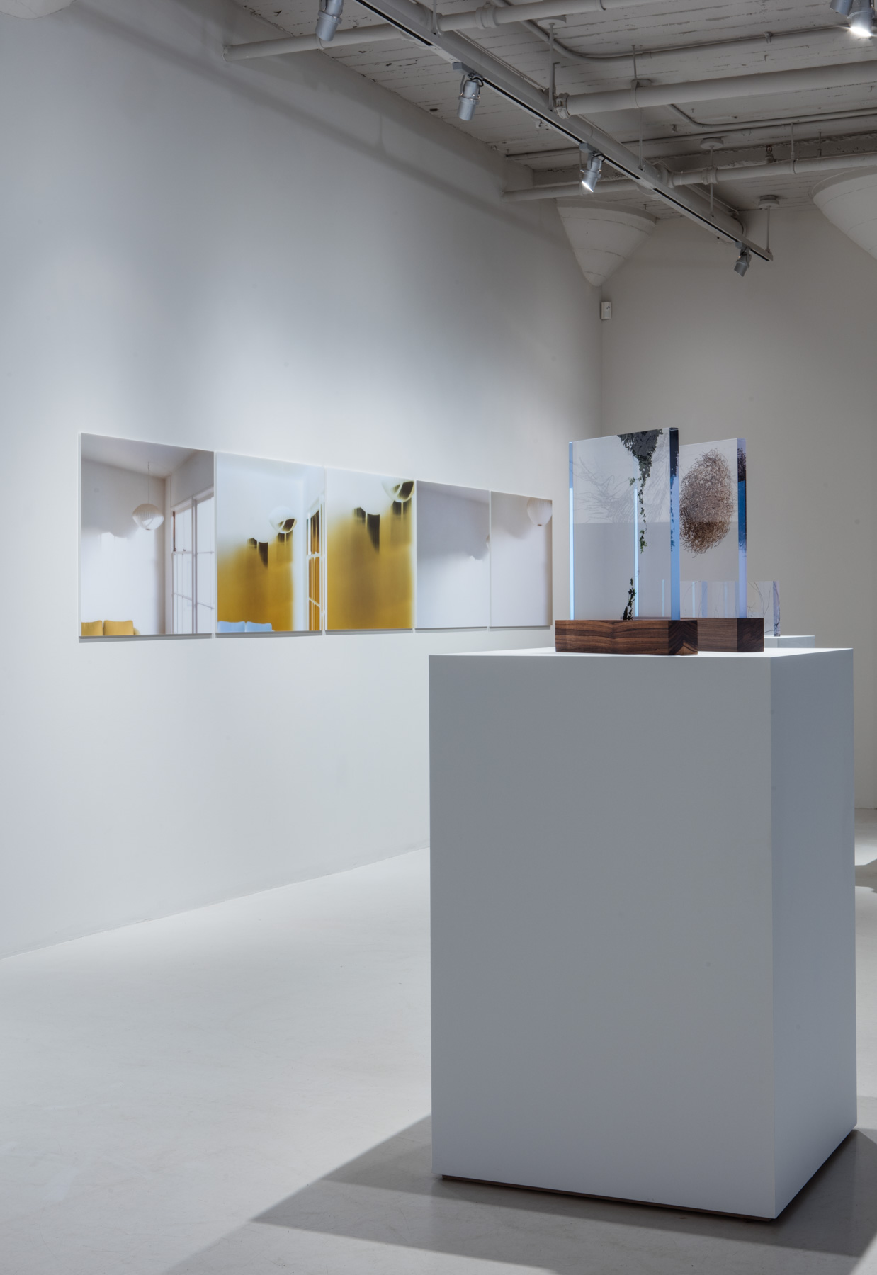  Uta Barth, Sundial (07.2), 2007, chromogenic prints. Christian Erroi, As Above, 09-02-07 n7962 2006, plexi glass, endura clear, zebra wood. Christian Erroi, As Above, 01-01-07-n0056,2006, plexi glass, endura clear, zebra wood. Christian Erroi, As Above, 15-02-06-n3592 2006, plexi glass, endura clear. Christian Erroi, As Above, 02-11-06-n0966 2006, plexi glass, endura clear. Christian Erroi, As Above, 02-11-06-n0993 2006, plexi glass, endura clear.  (Credit: Stan Narten)