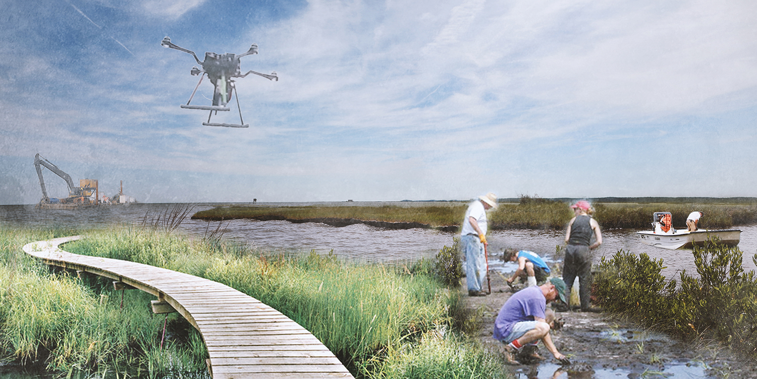 Preserve and create wetland habitat