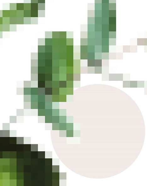 Raquel Azqueta Rodriguez