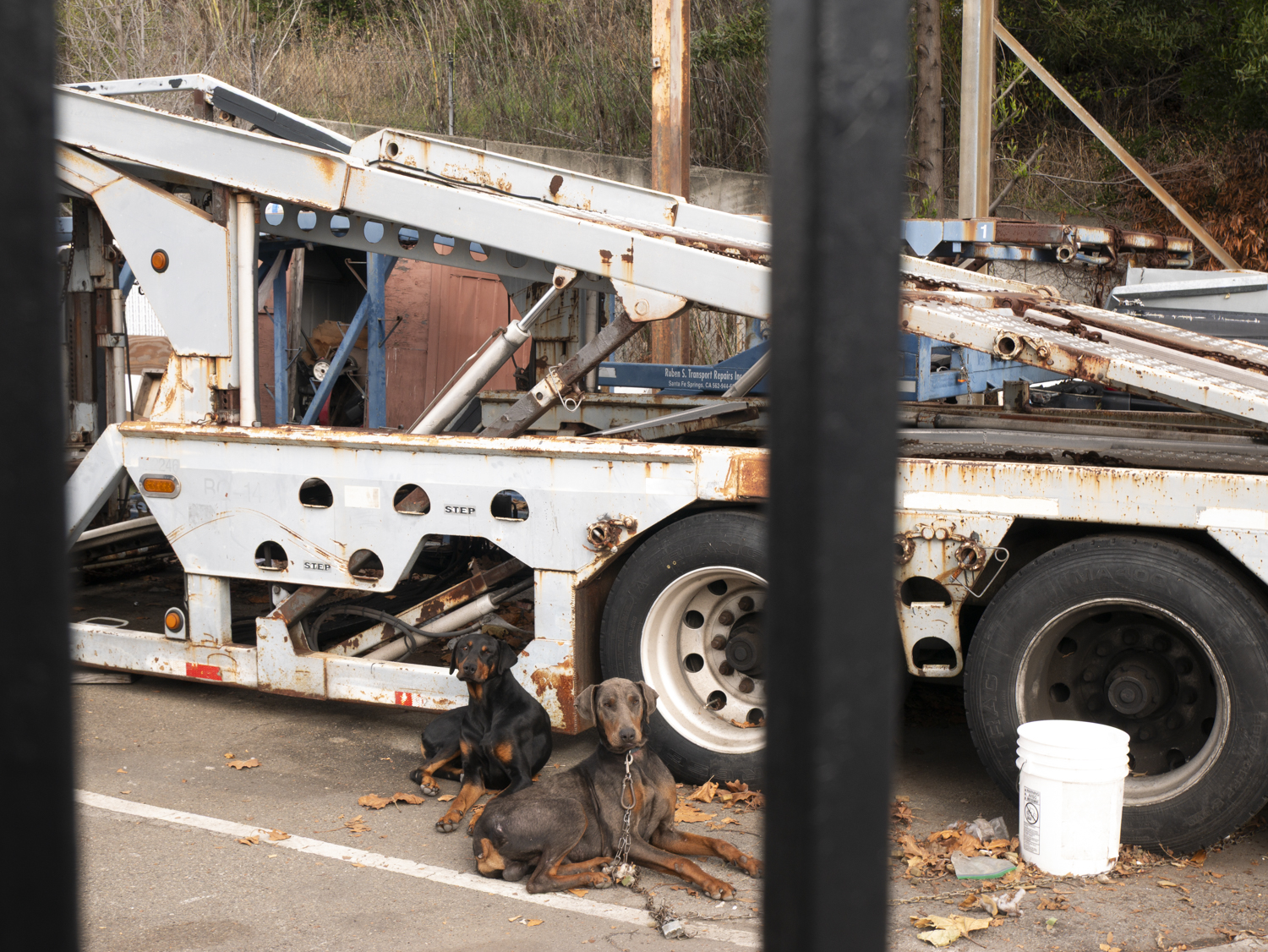 45th Street & Macdonald Avenue, Richmond