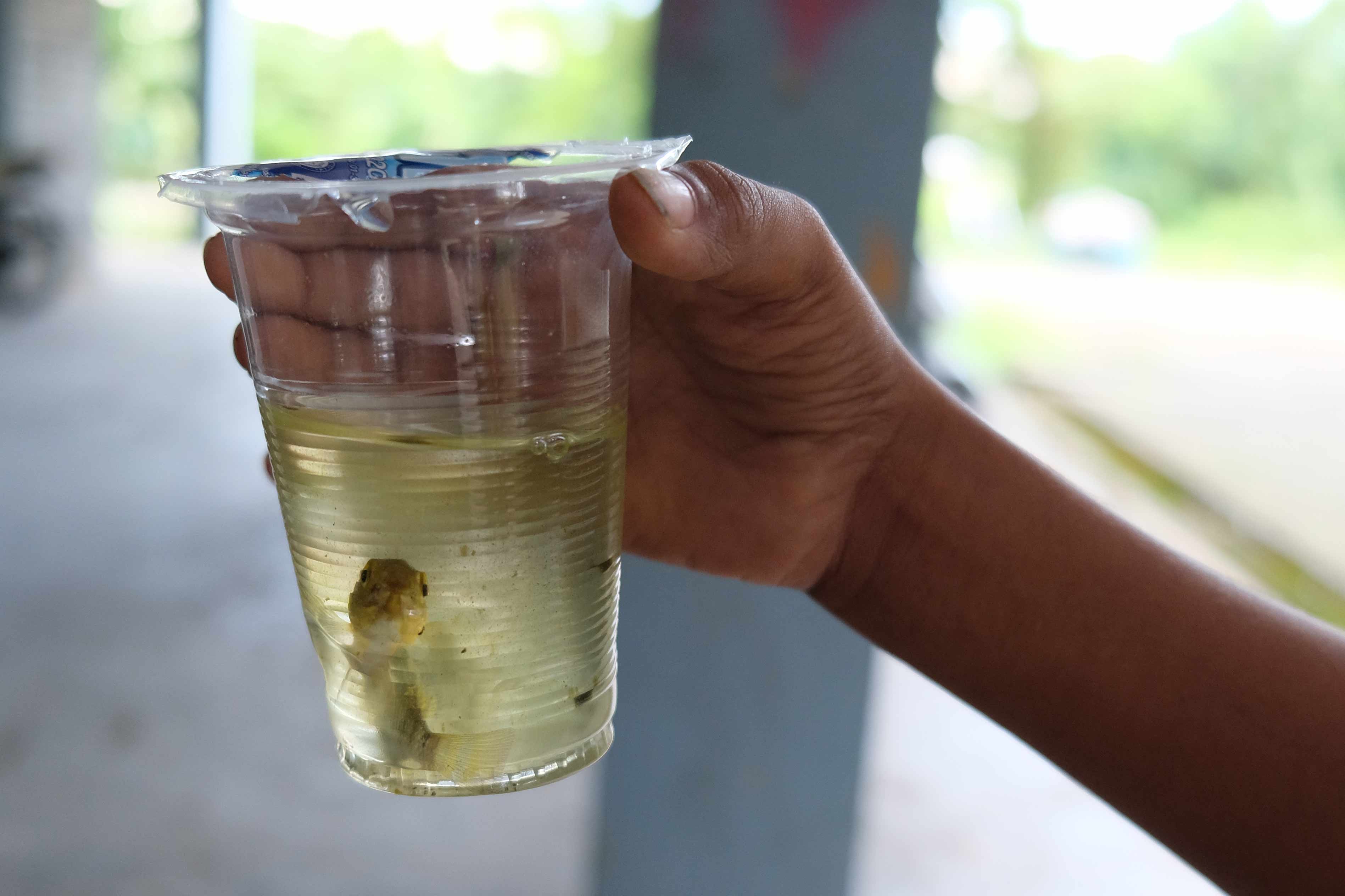 ...people grow with water, they live in it and from it.