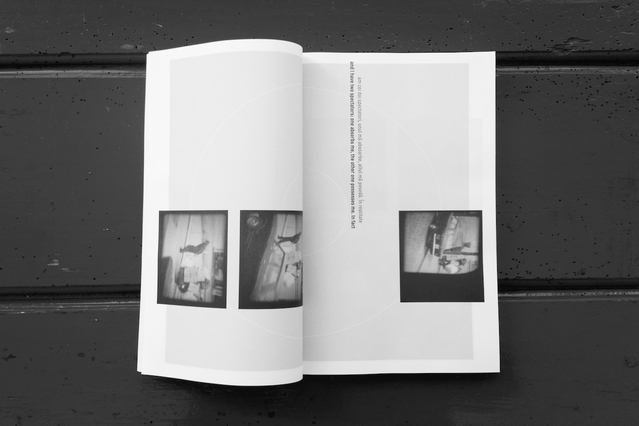 alt="Ion Grigorescu From static oblivion book spread"