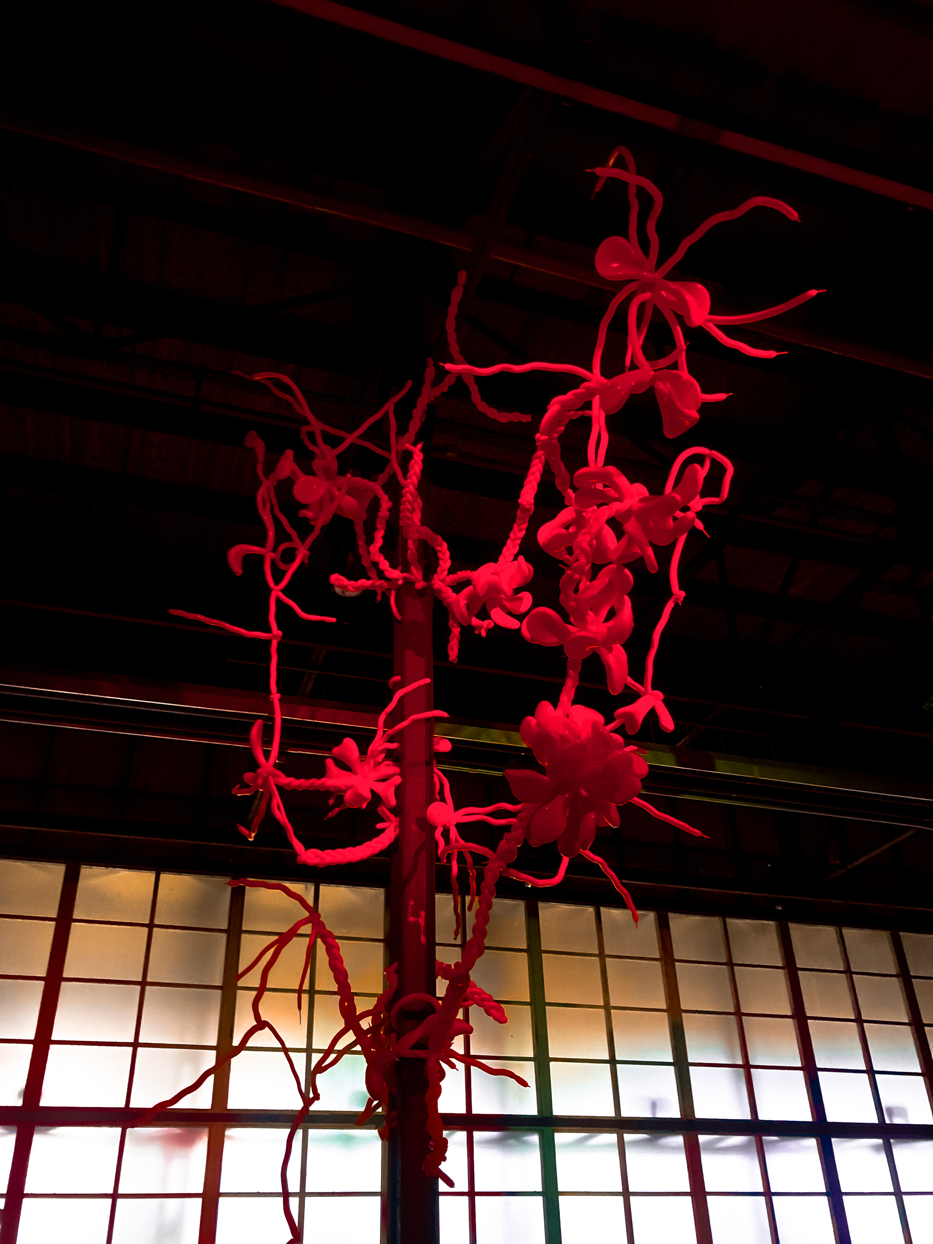 Fungus study III / de Suikerfabriek for Paradigm / 2021