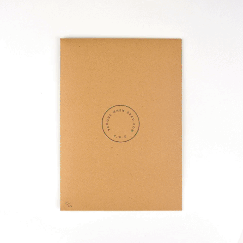 Never Try, Never Fail - Zine