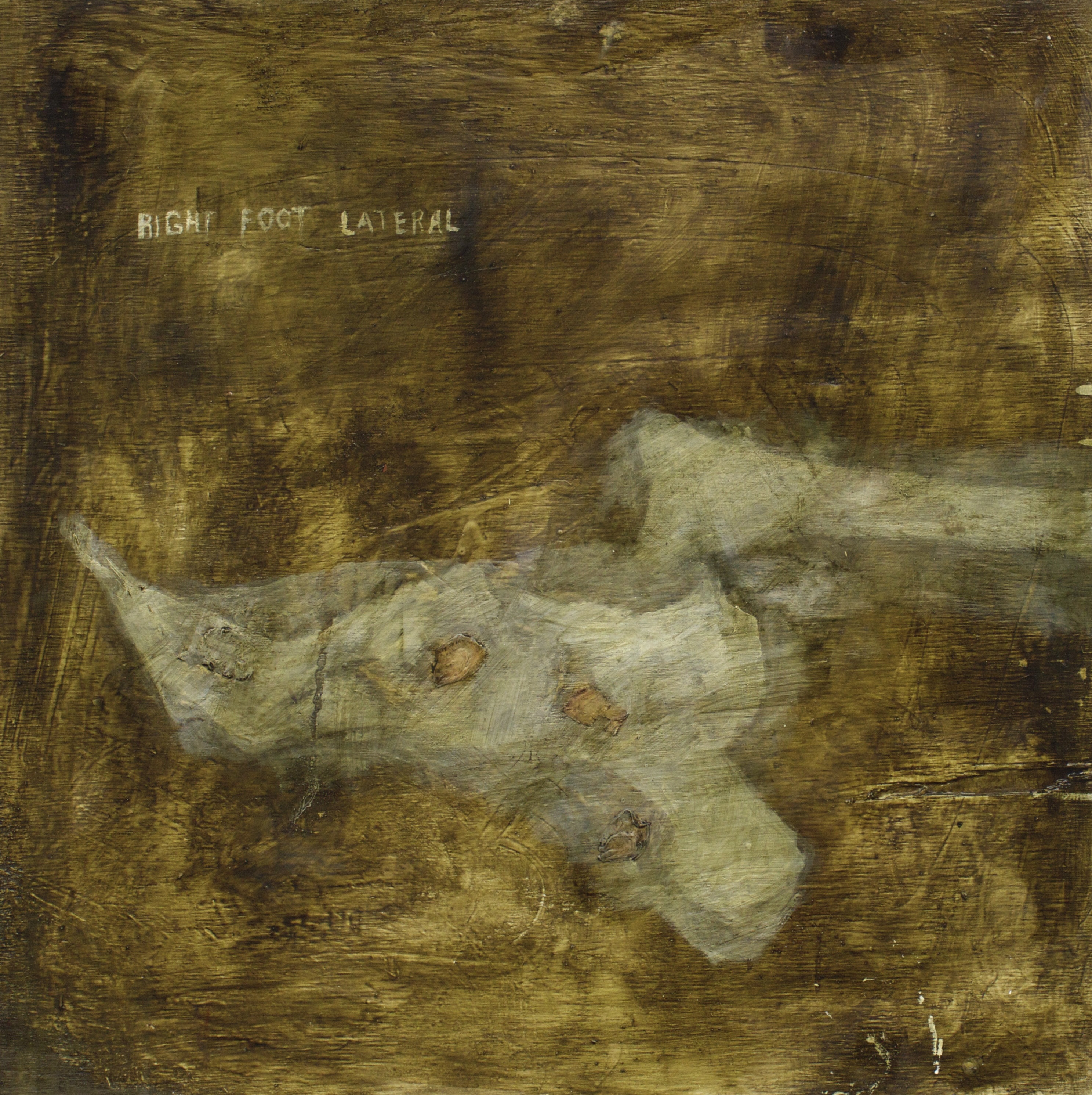 R. Foot Lateral oil, flower petals and housepaint on wood 24" x 24"