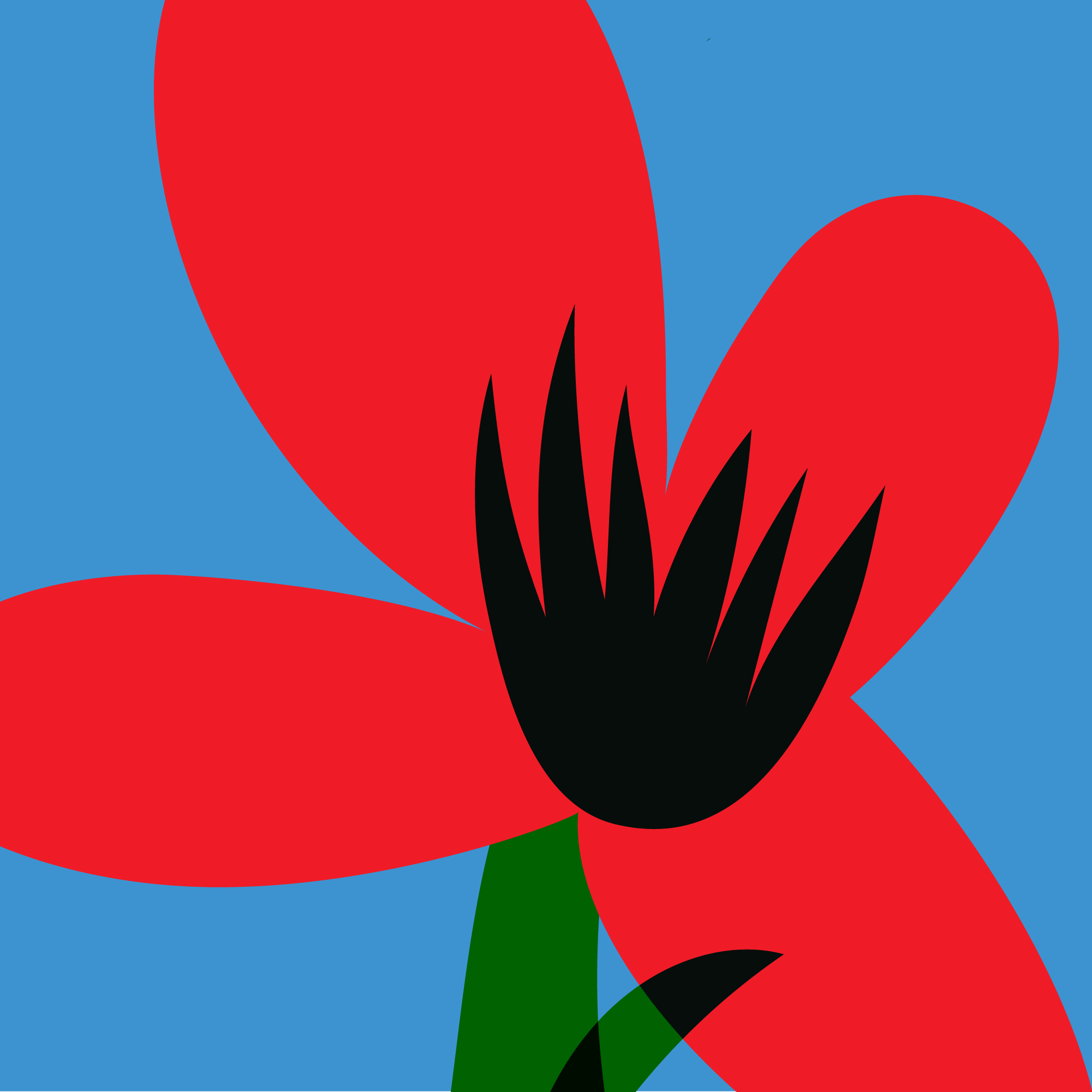 crop : victoria's secret