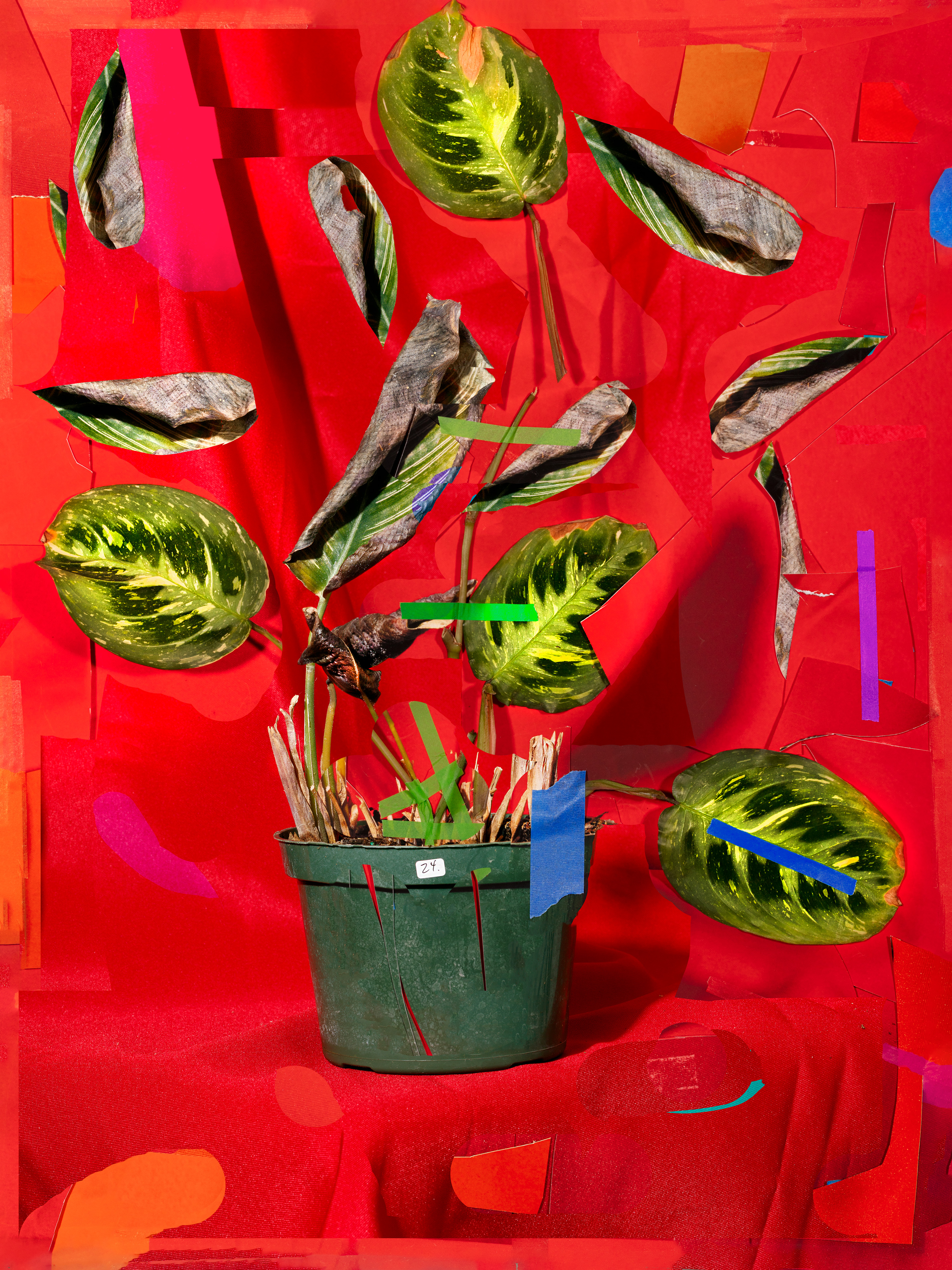 This demands too much, 2021, archival pigment print, 26”x23” and 22”x17”