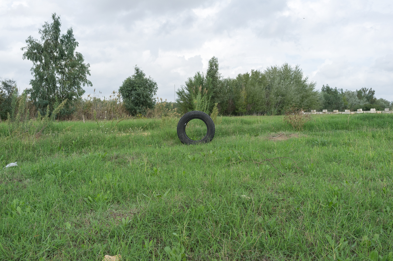 Foto de territorio, rueda abandonada en la periferia
