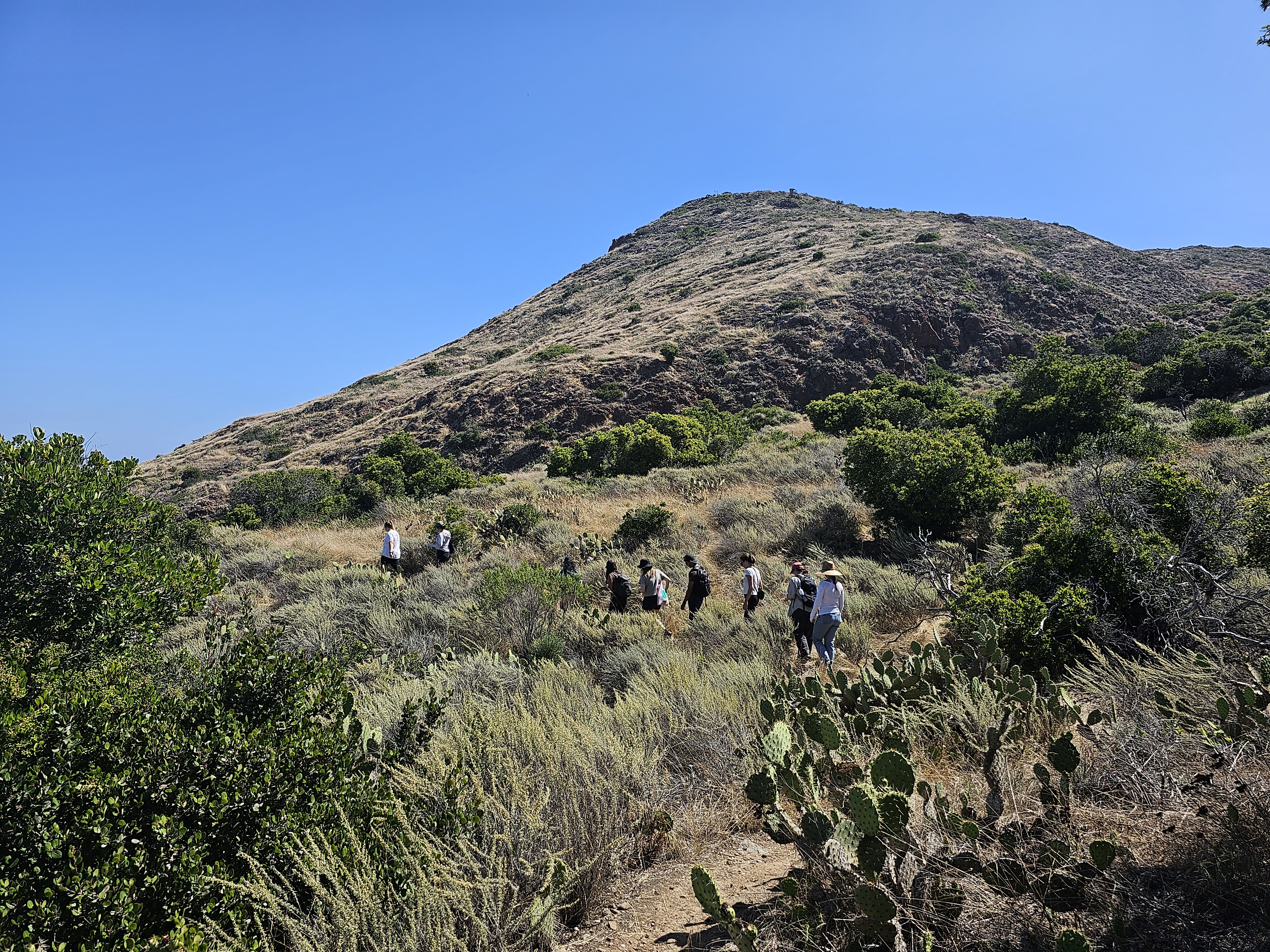 Landscape just upstream of the Green Ravine