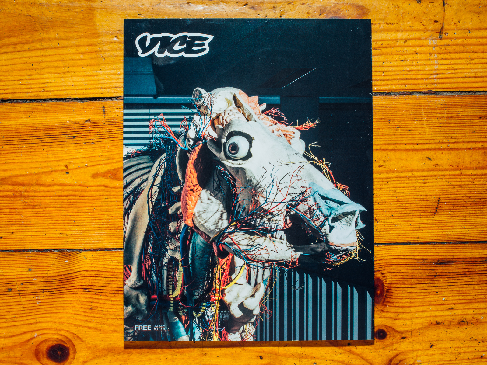 VICE / Hornless Heritage Serie als Coverstory, Juli 2017
